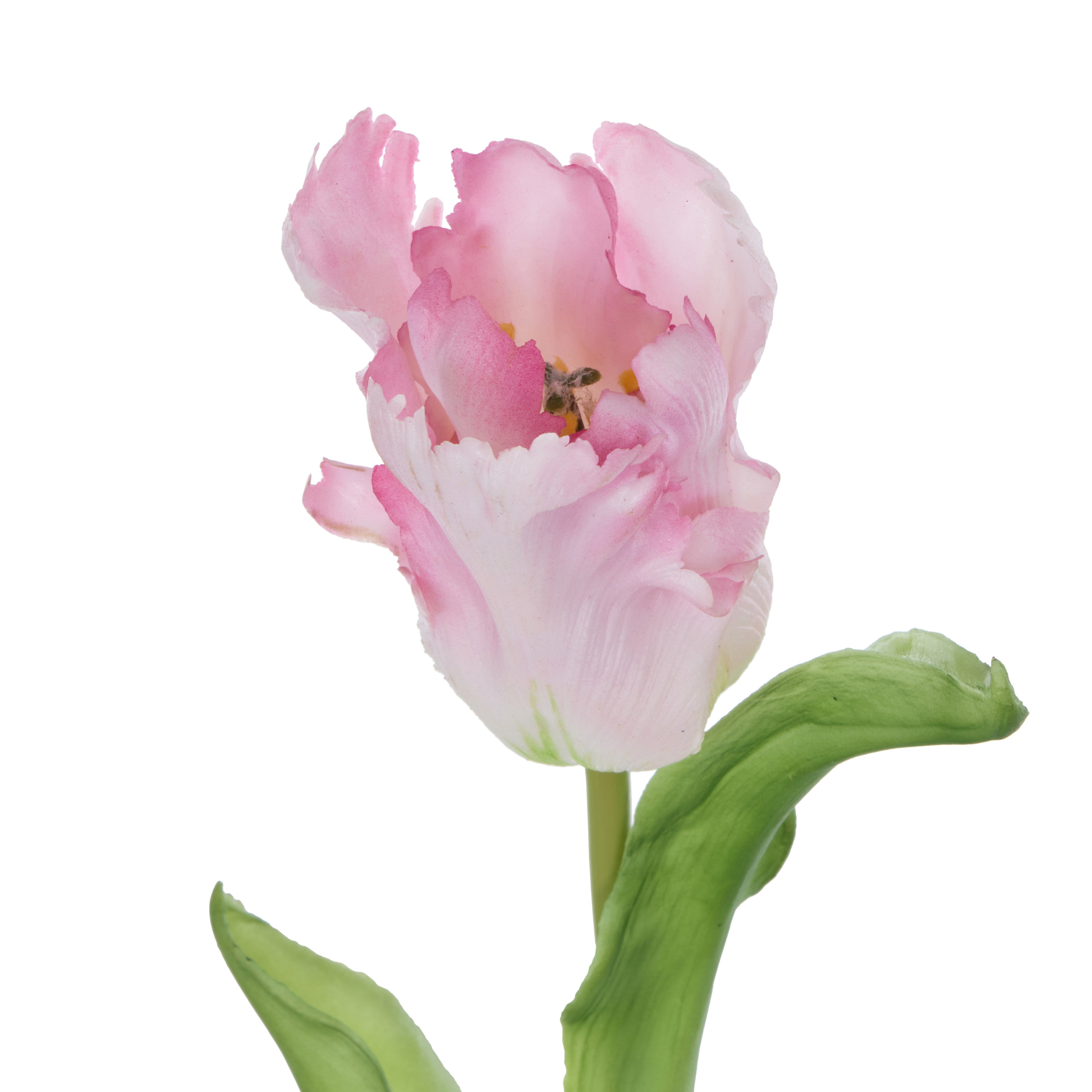 Faux Parrot Tulip Stem | Pink - 48cm
