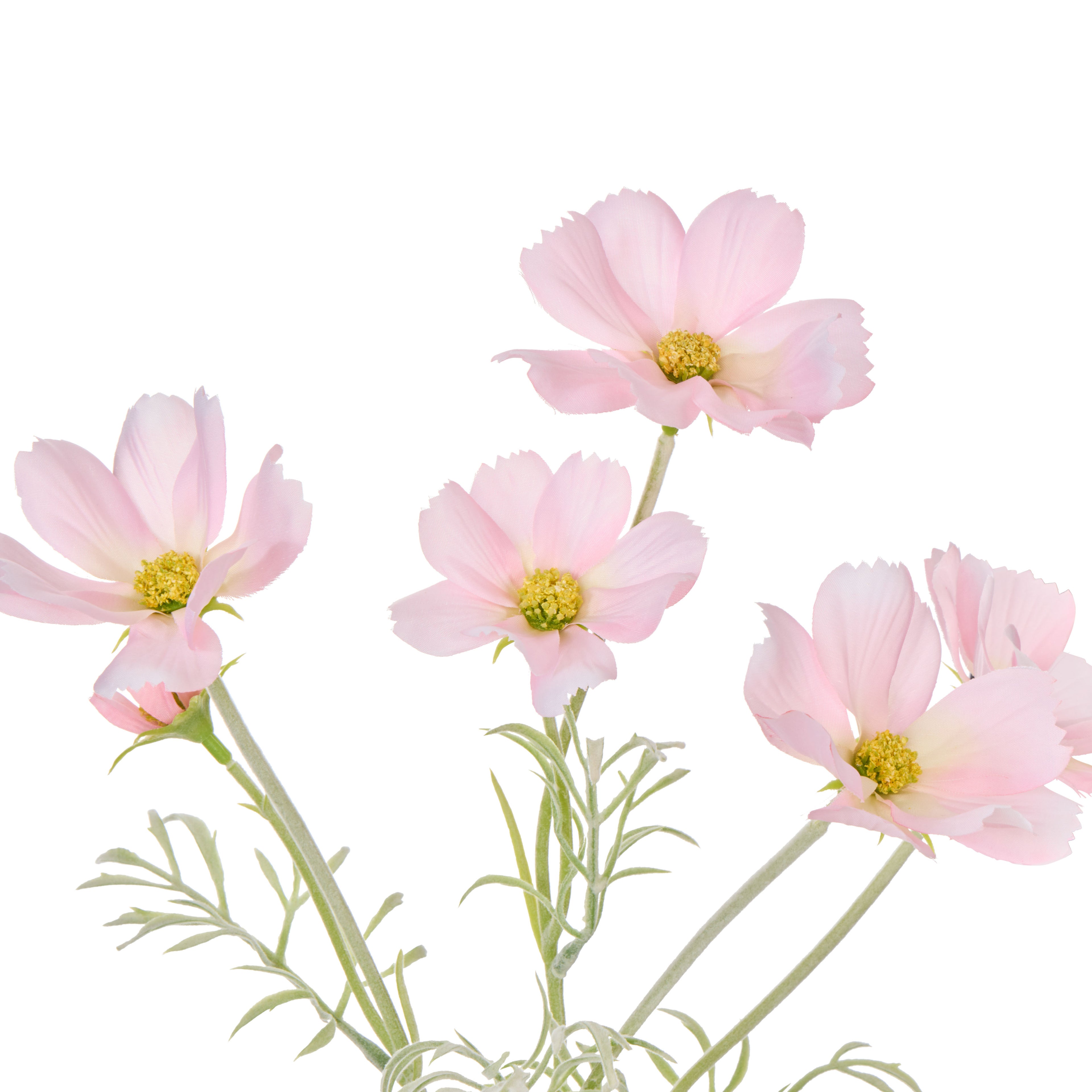 Faux Cosmos - Milk Bottle | Pink - 35cm