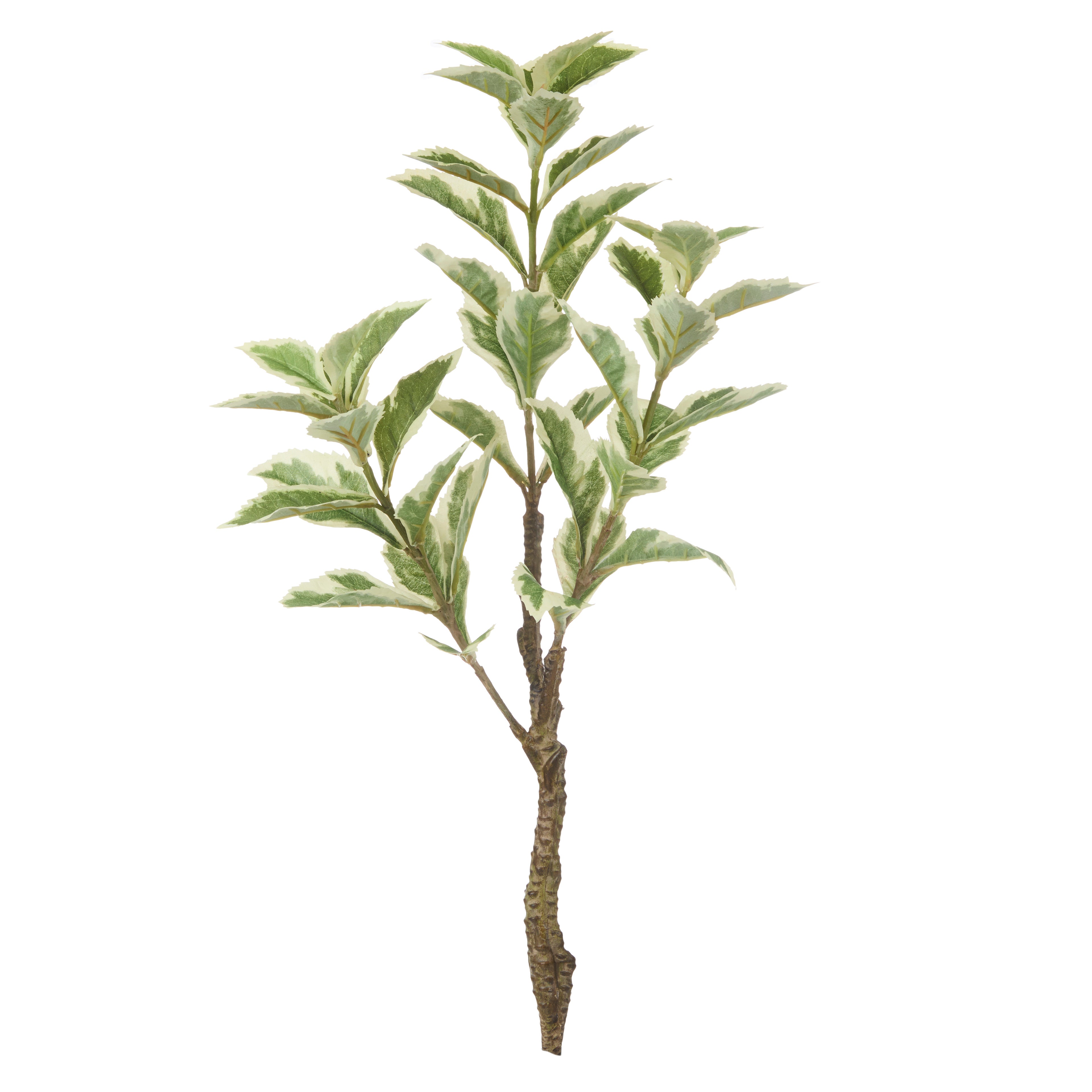 Faux Ficus Variegated Spray | 53cm