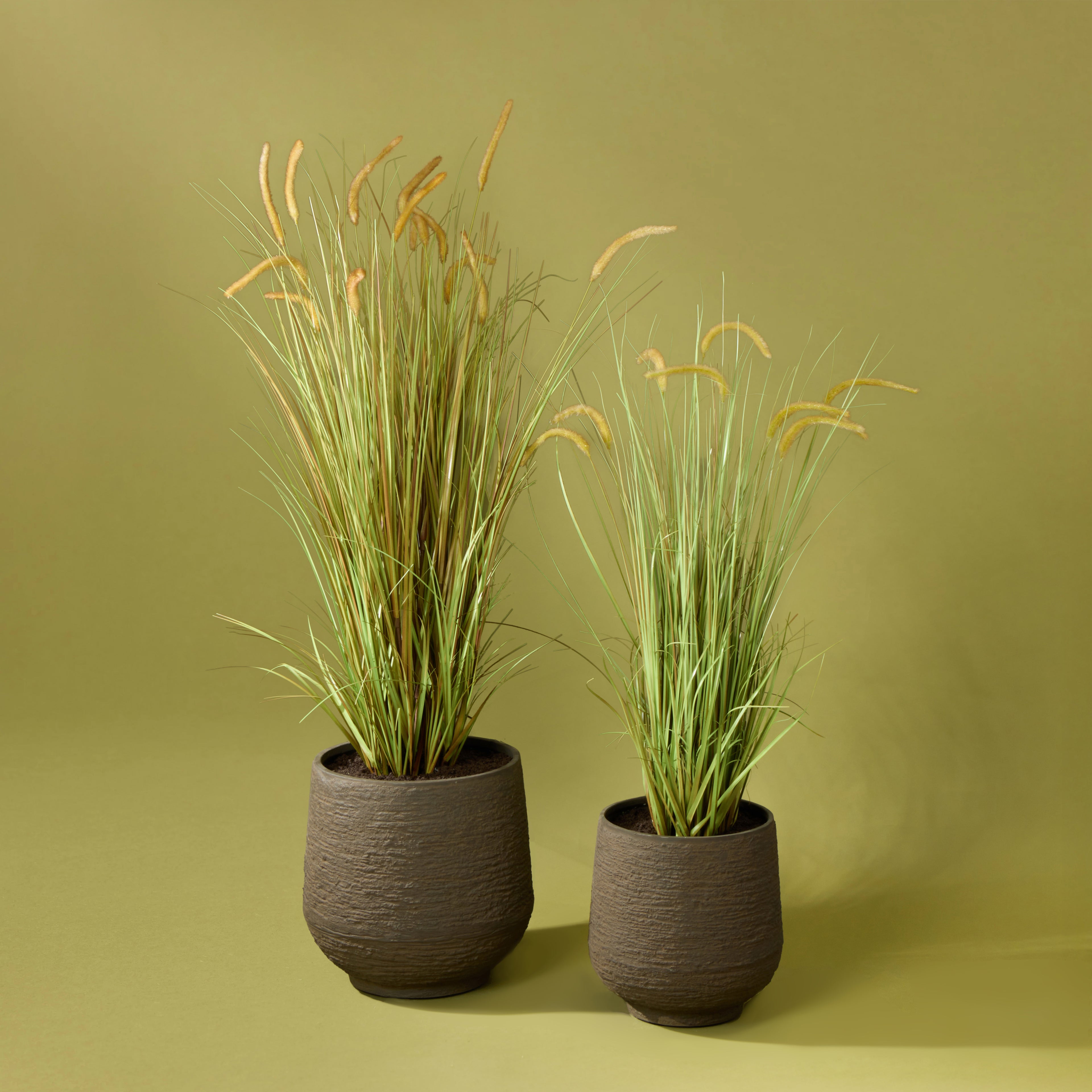 Faux Grass Plant - Trillium Planter | 170cm