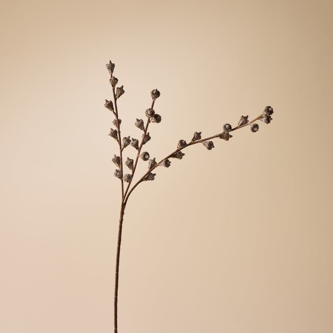 Faux Gumnut Spray | Brown - 62cm