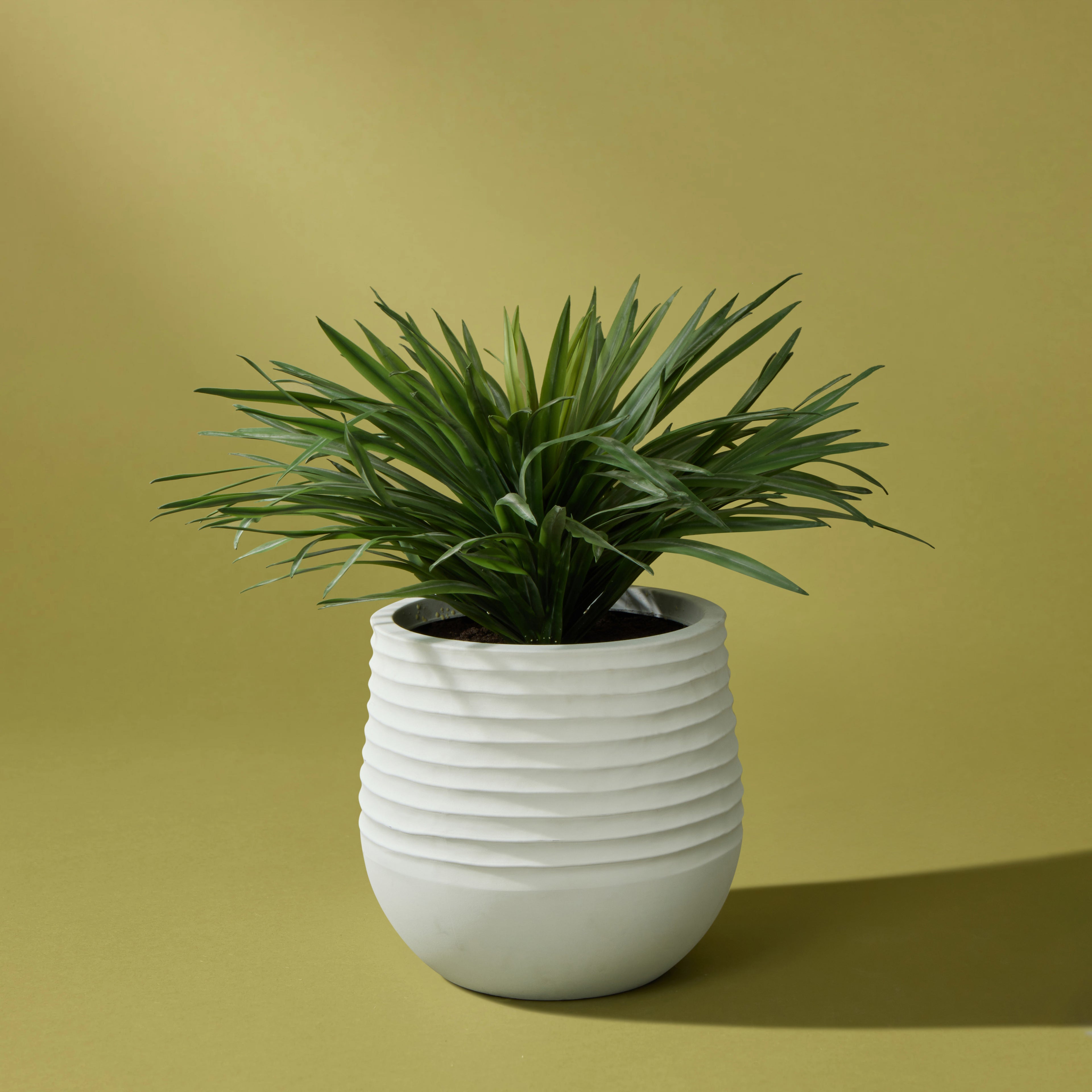 Faux Sisal Plant UV Treated - Ryker Stonelite Planter | 97cm