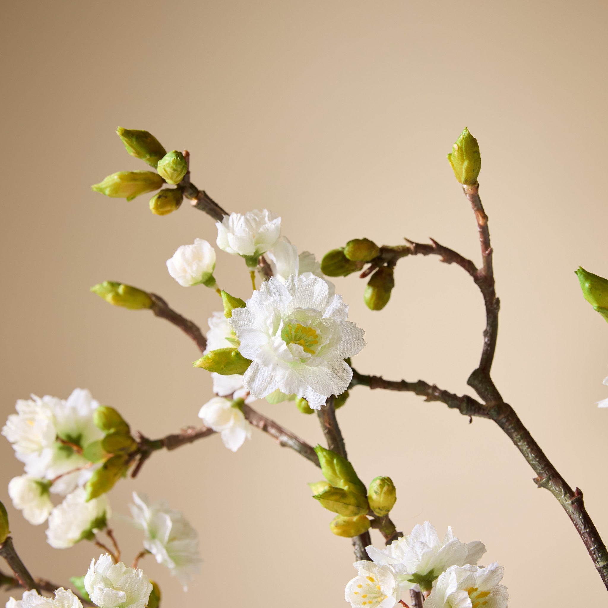 Faux Peach Blossom Spray | Cream - 92cm