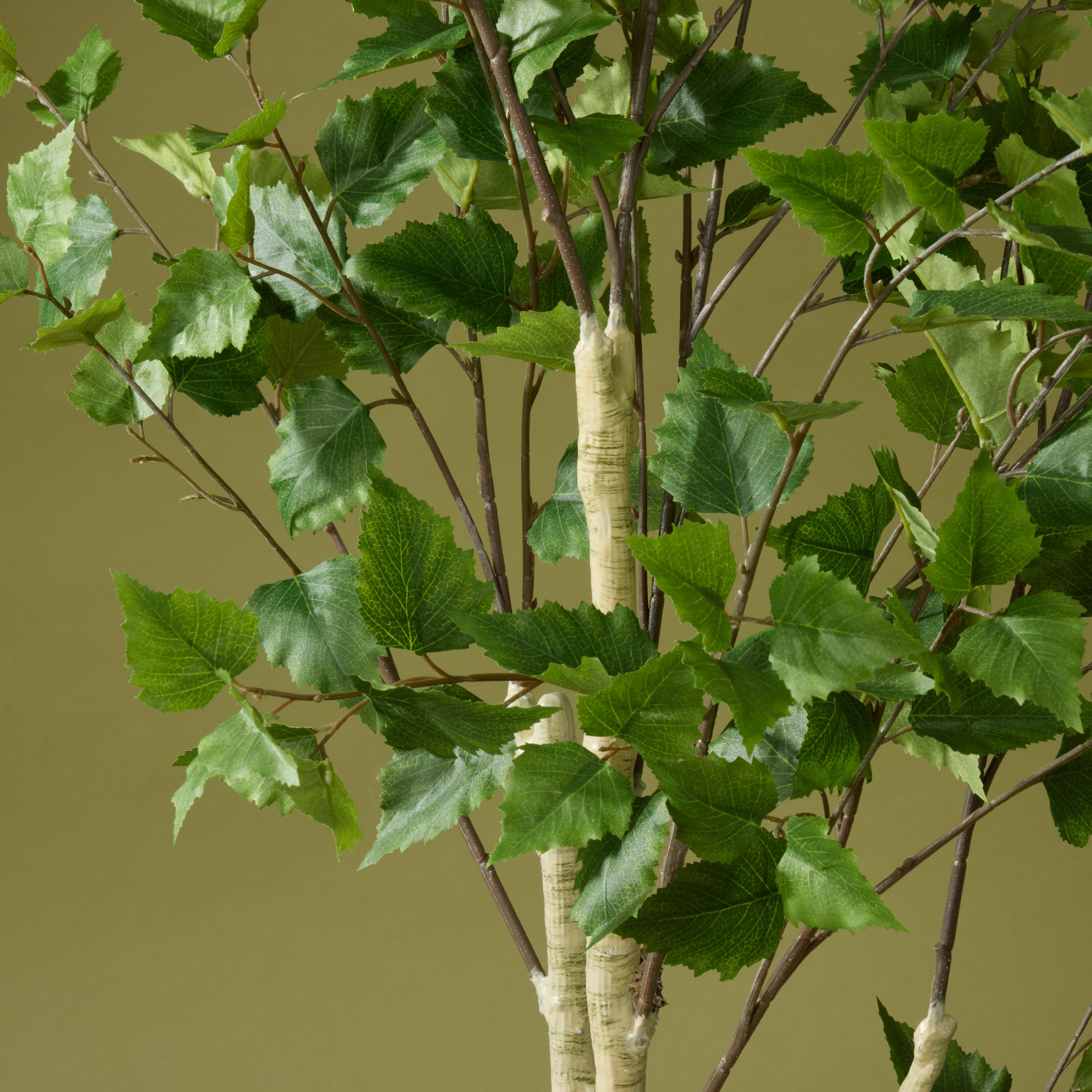 Faux Silver Birch Tree - Garden Pot | 155cm