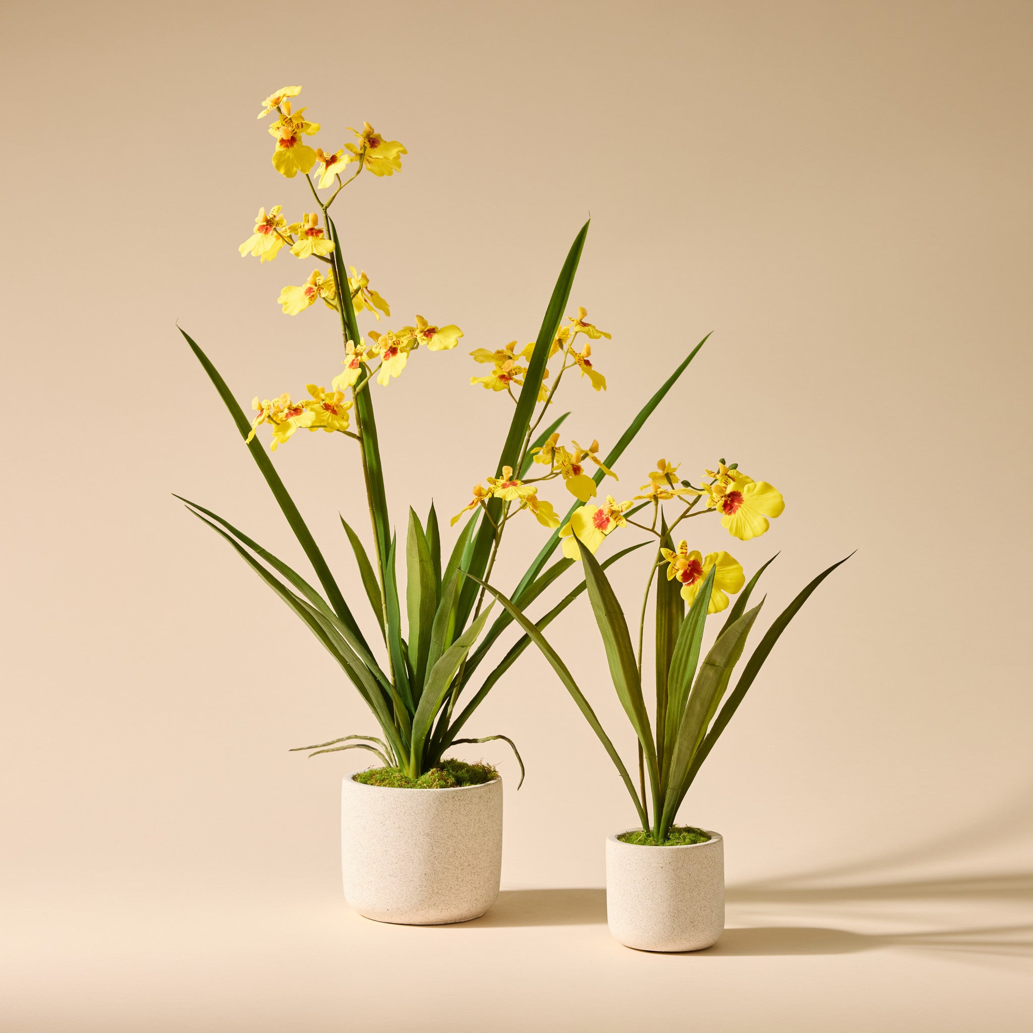 Faux Dancing Orchid Pot | Yellow - 58cm