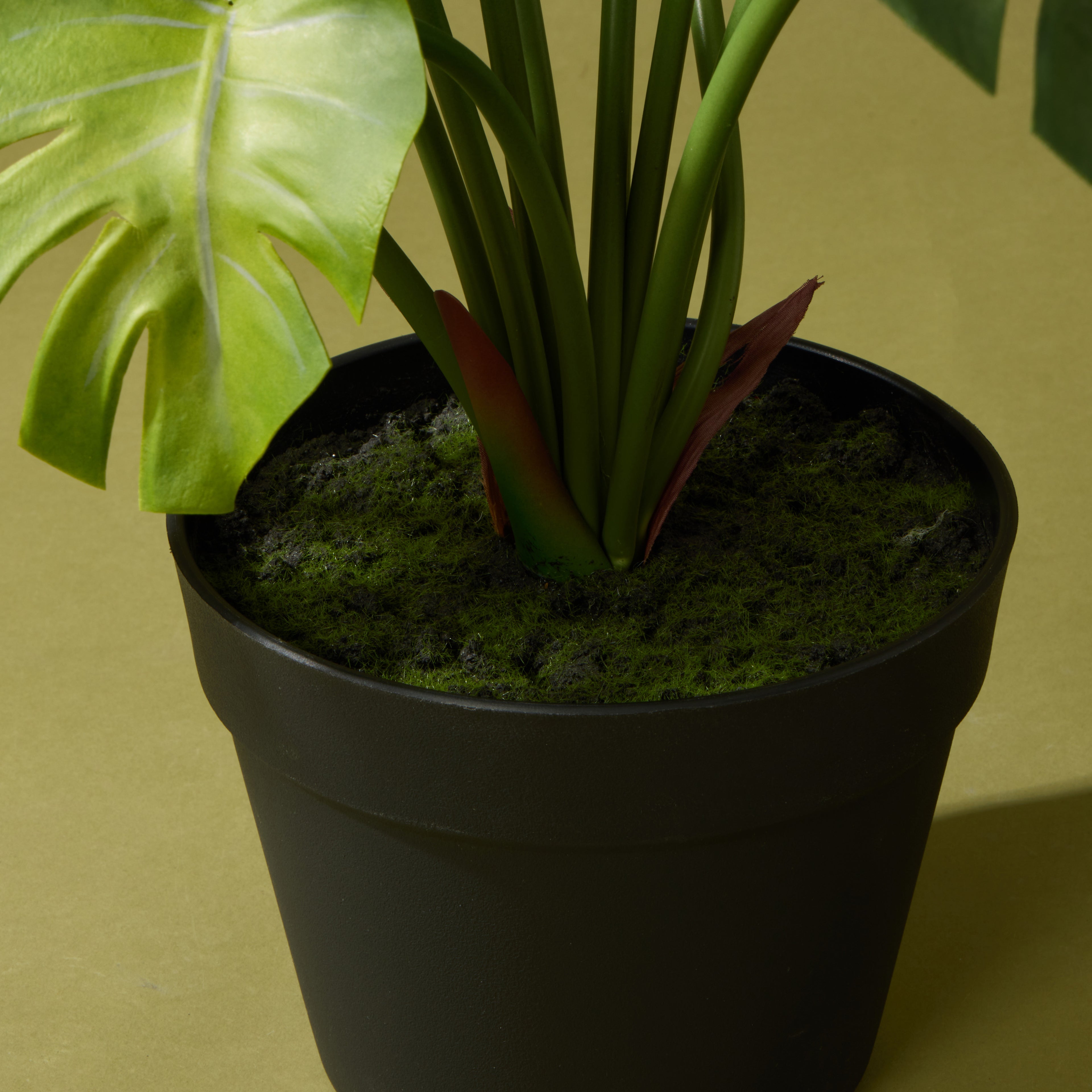Faux Monstera Plant - Garden Pot | 65cm