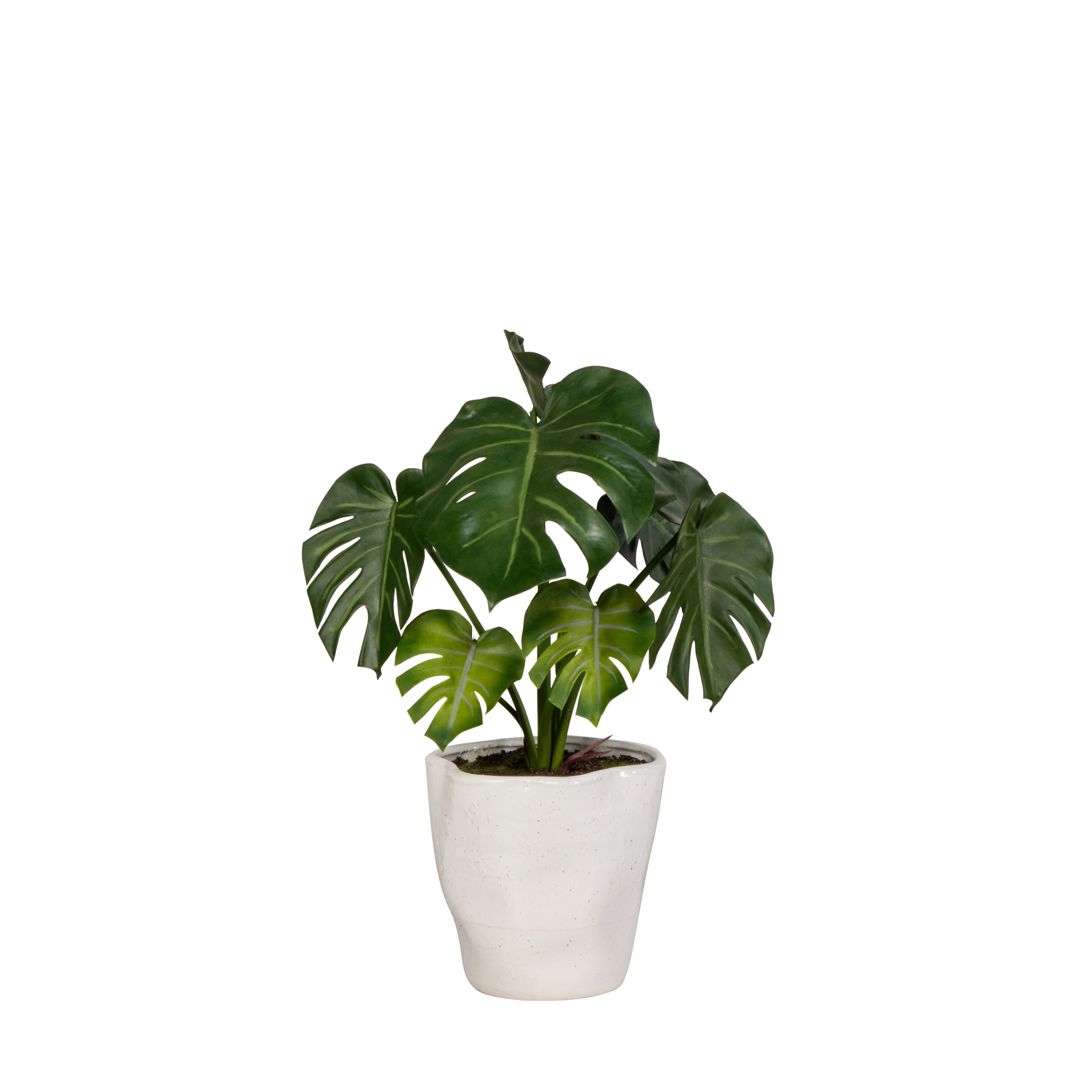 Faux Monstera Plant - Nora Pot | Green - 57cm