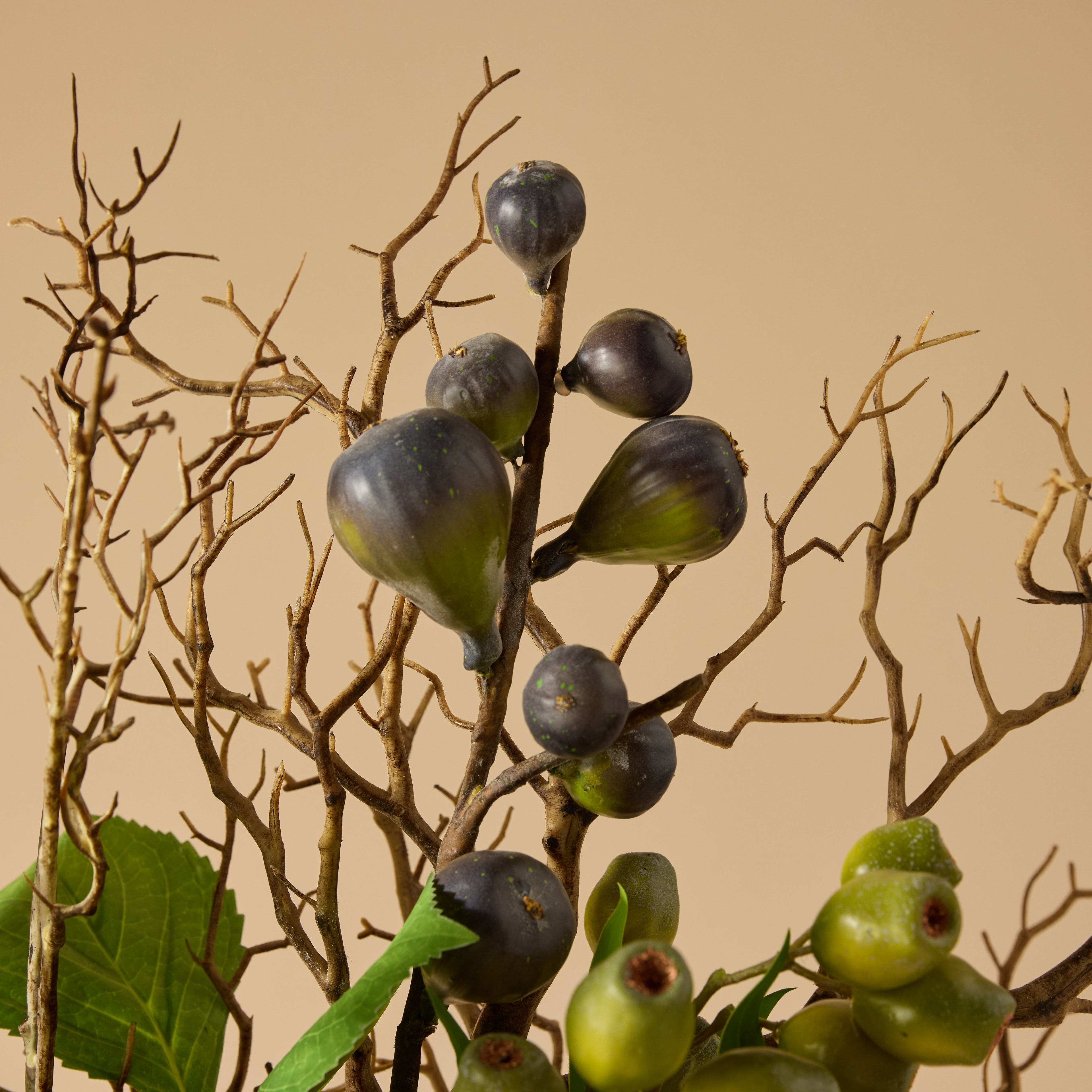 Faux Hydrangea Lotus Pod Fig Mix - Maliah Pot | Green - 62cm