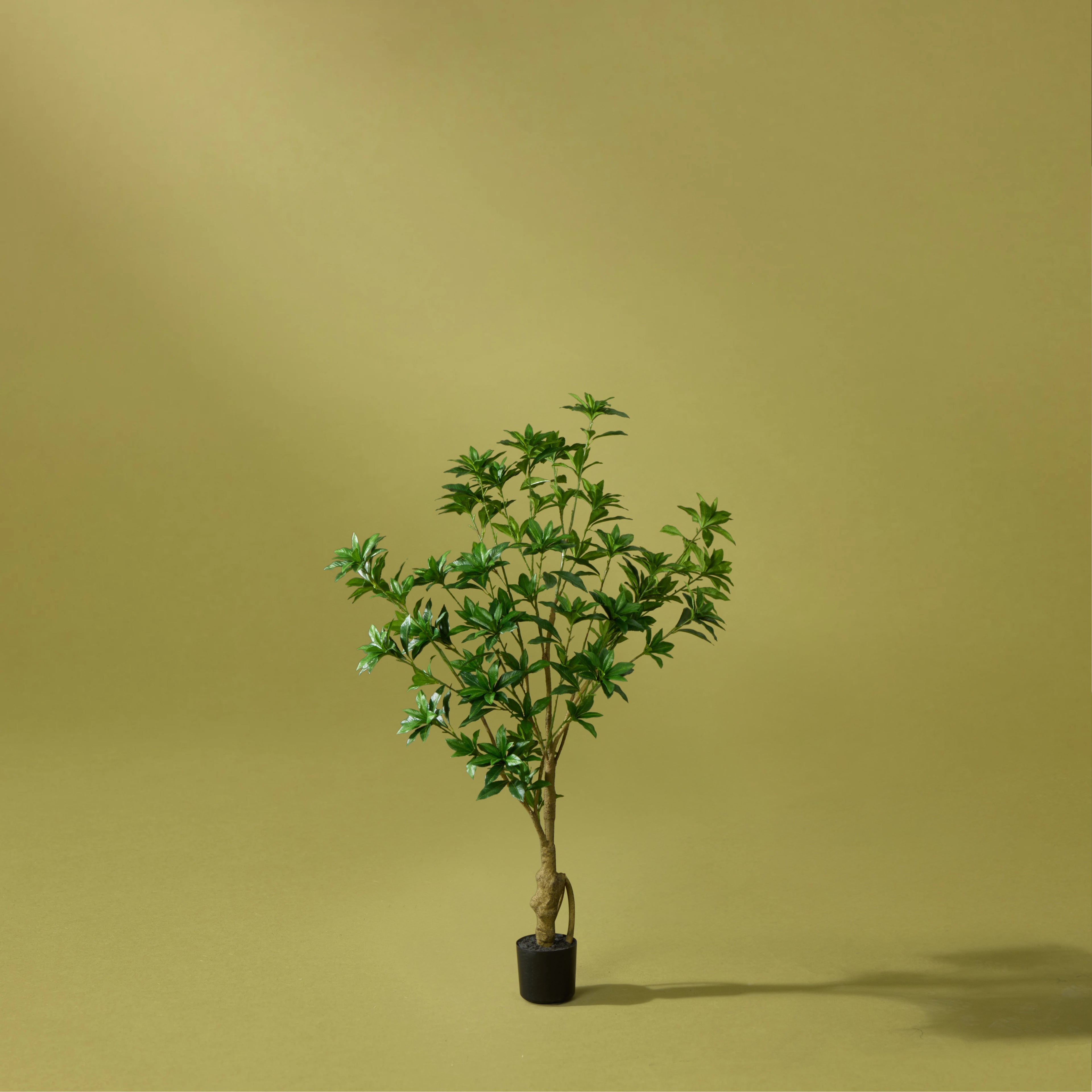 Faux Japonica Tree UV Treated - Garden Pot | 120cm