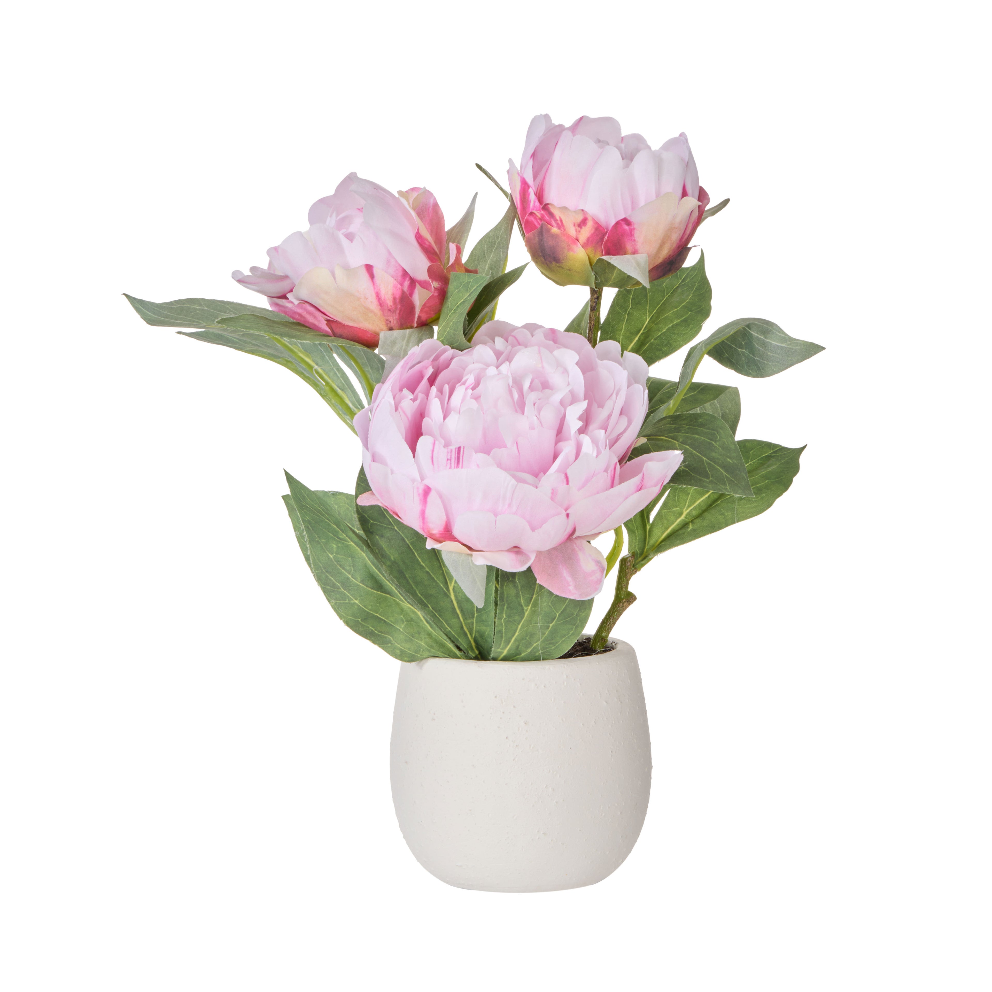 Faux Peony Plant - Tub Pot | Light Pink - 29cm