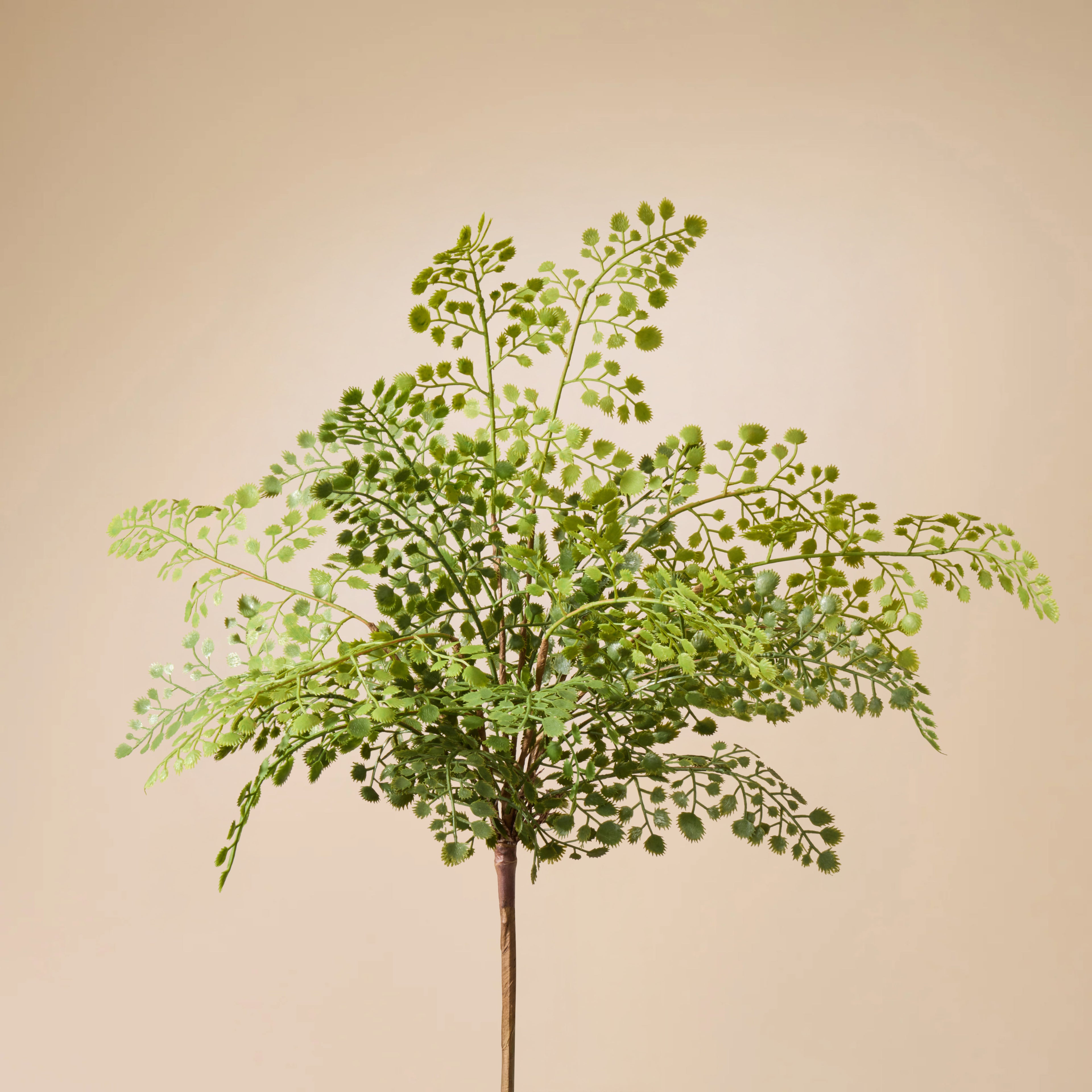 Faux Maiden Hair Fern | Green - 45cm