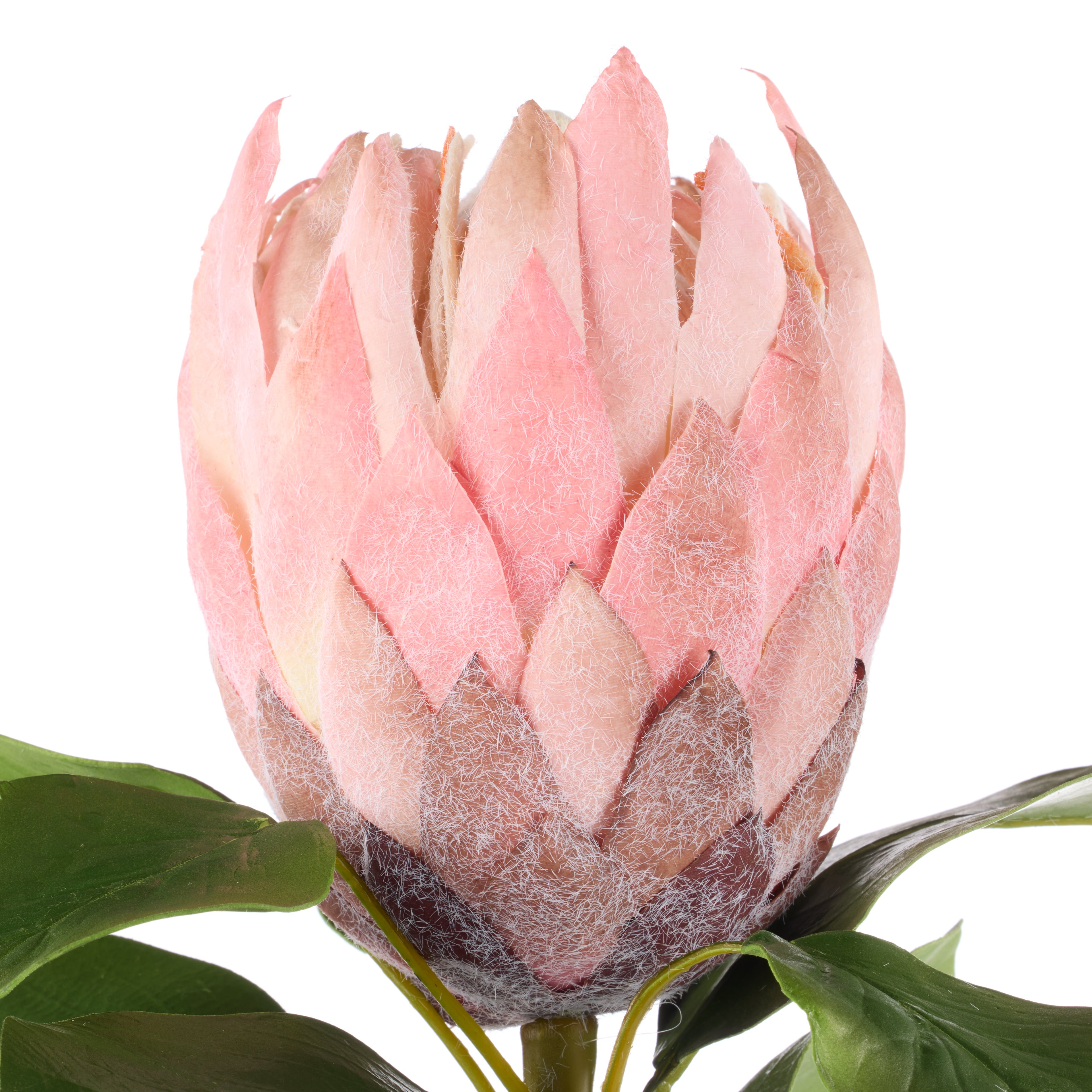 Faux Grand Protea Stem | Pink - 63cm