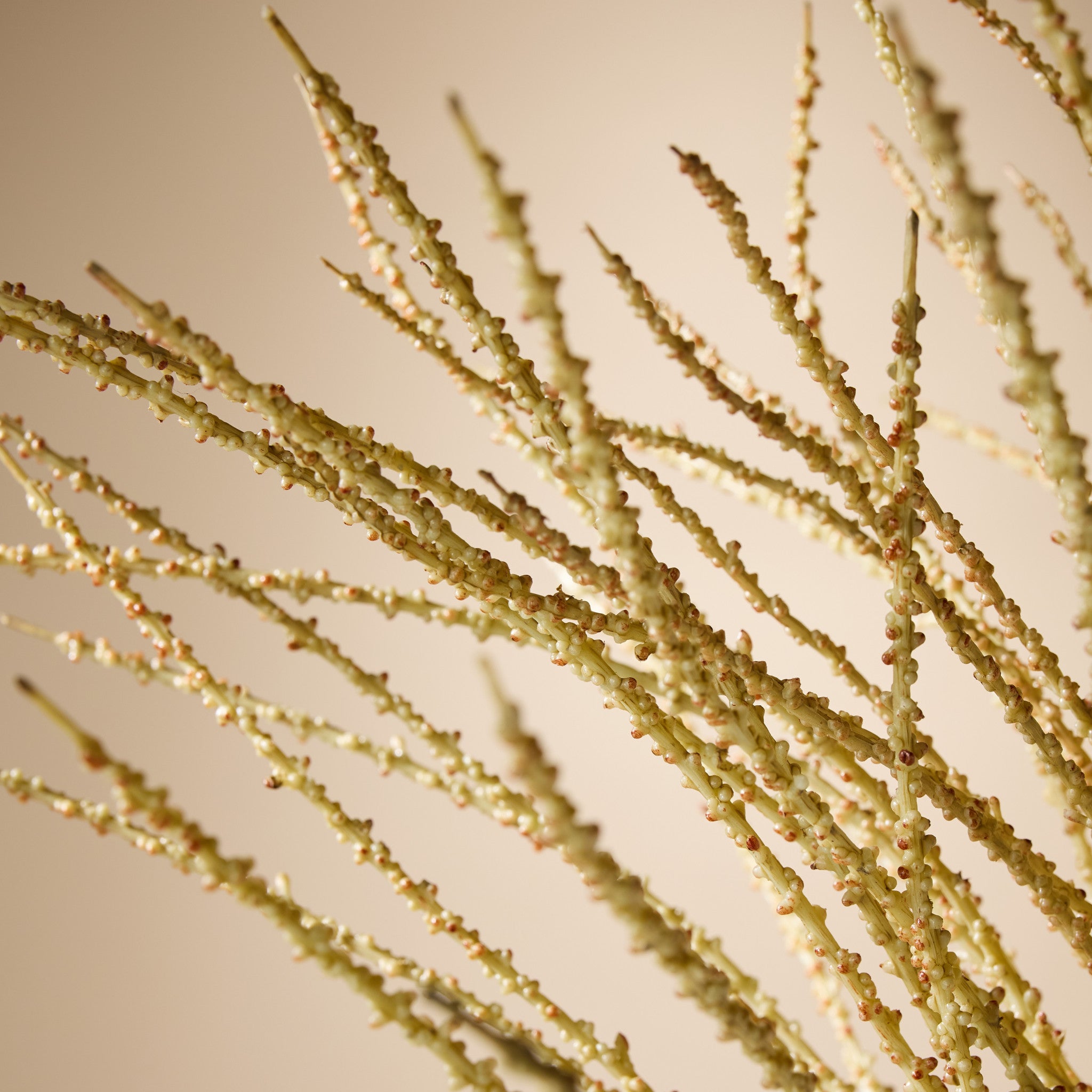 Faux Alexandra Palm Leaf Spray | 92cm