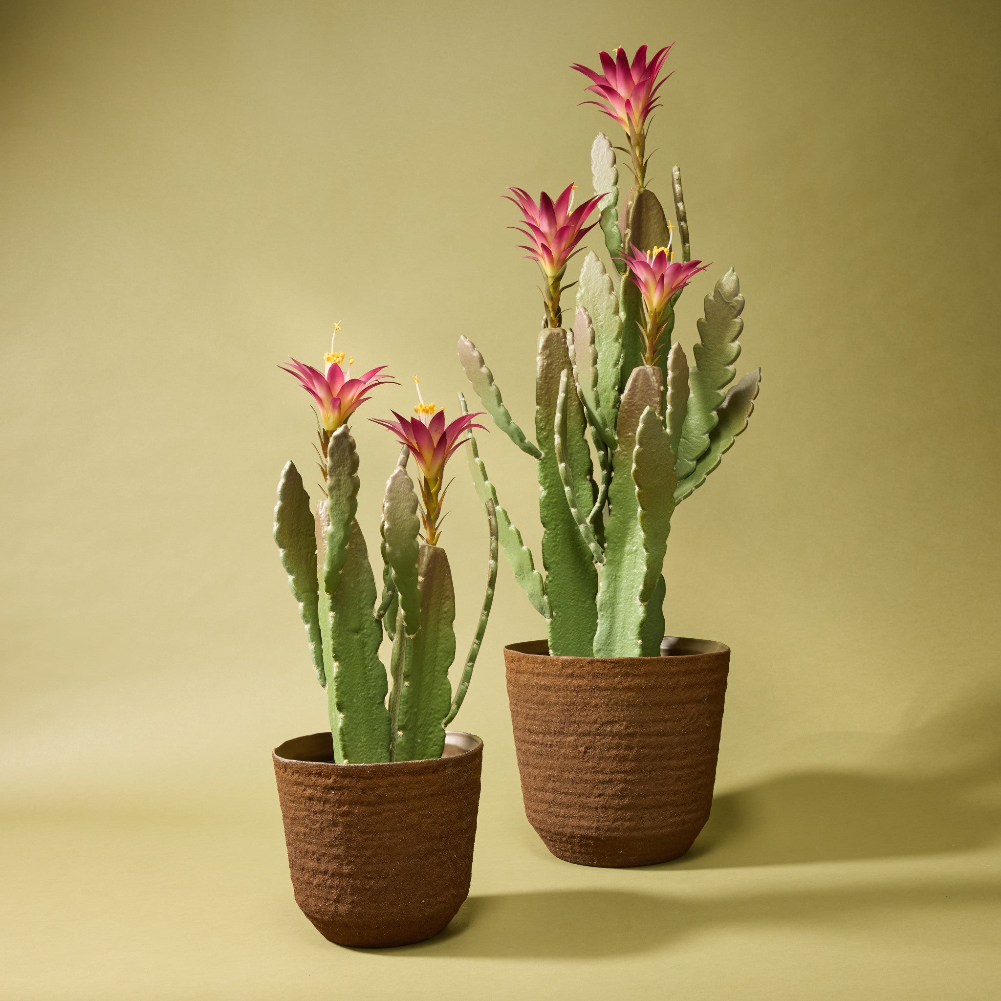 Faux Flowering Cactus - Garden Pot | 47cm