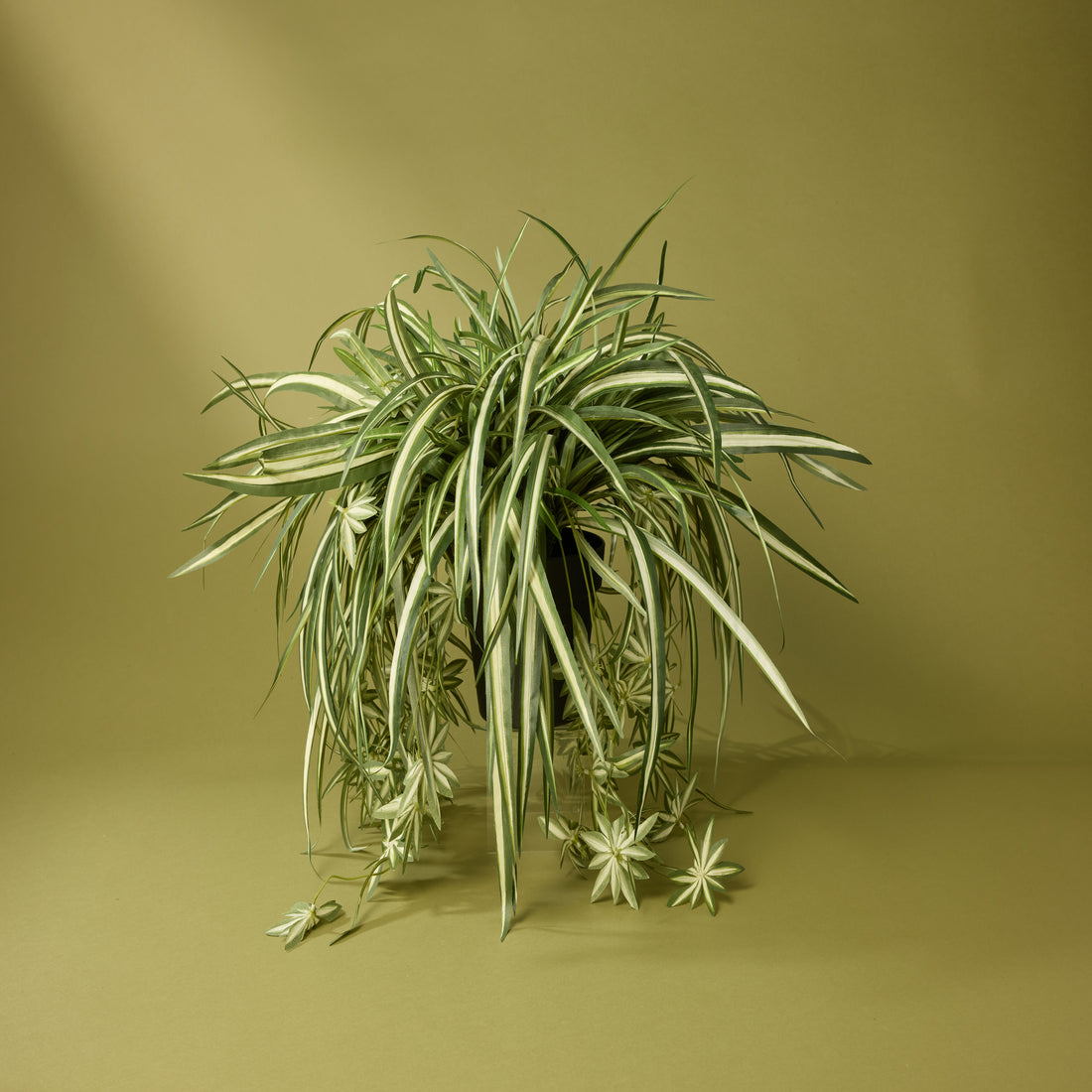 Faux Spider Plant - Garden Pot | 70cm