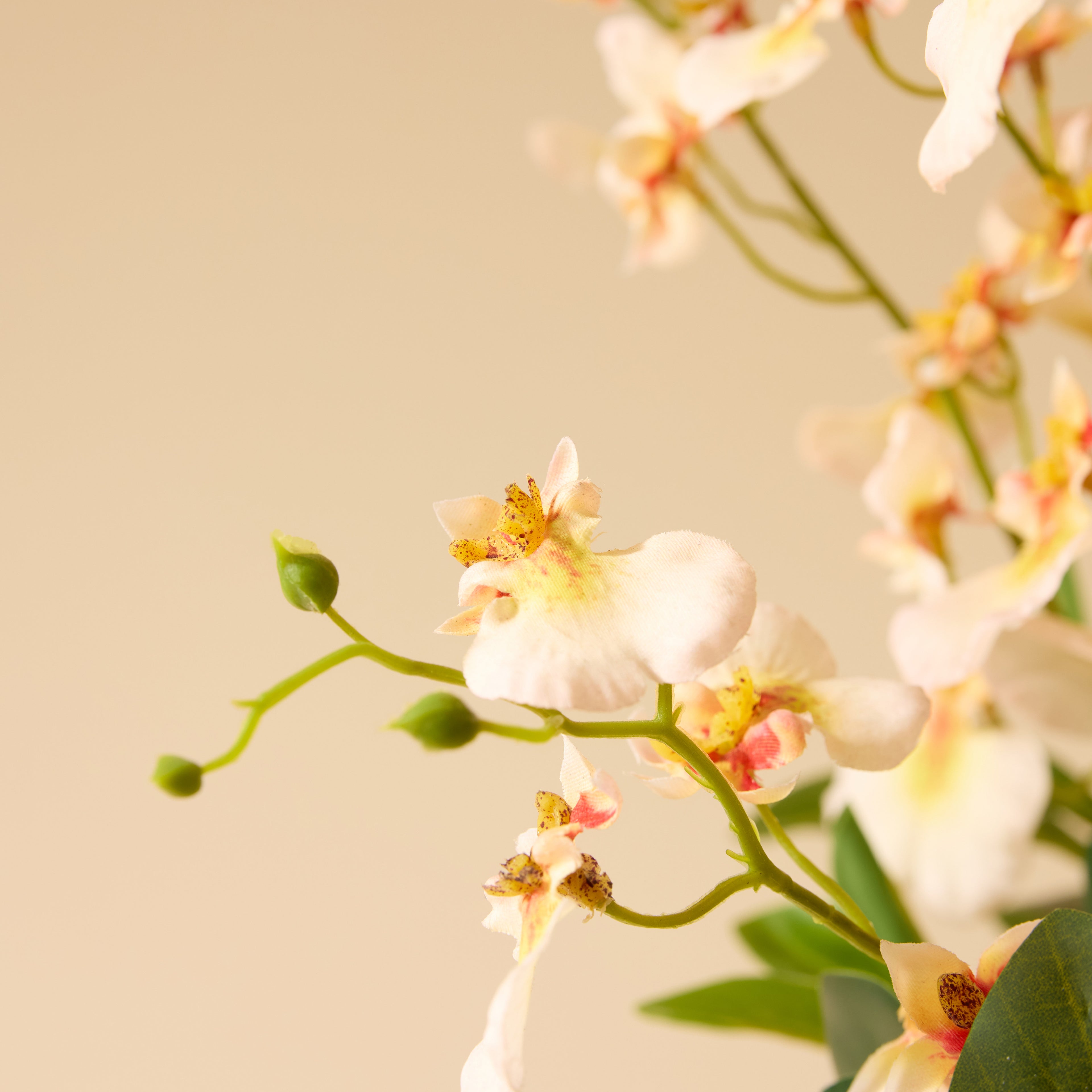 Faux Dancing Orchids - Madelyn Bowl | Cream - 58cm