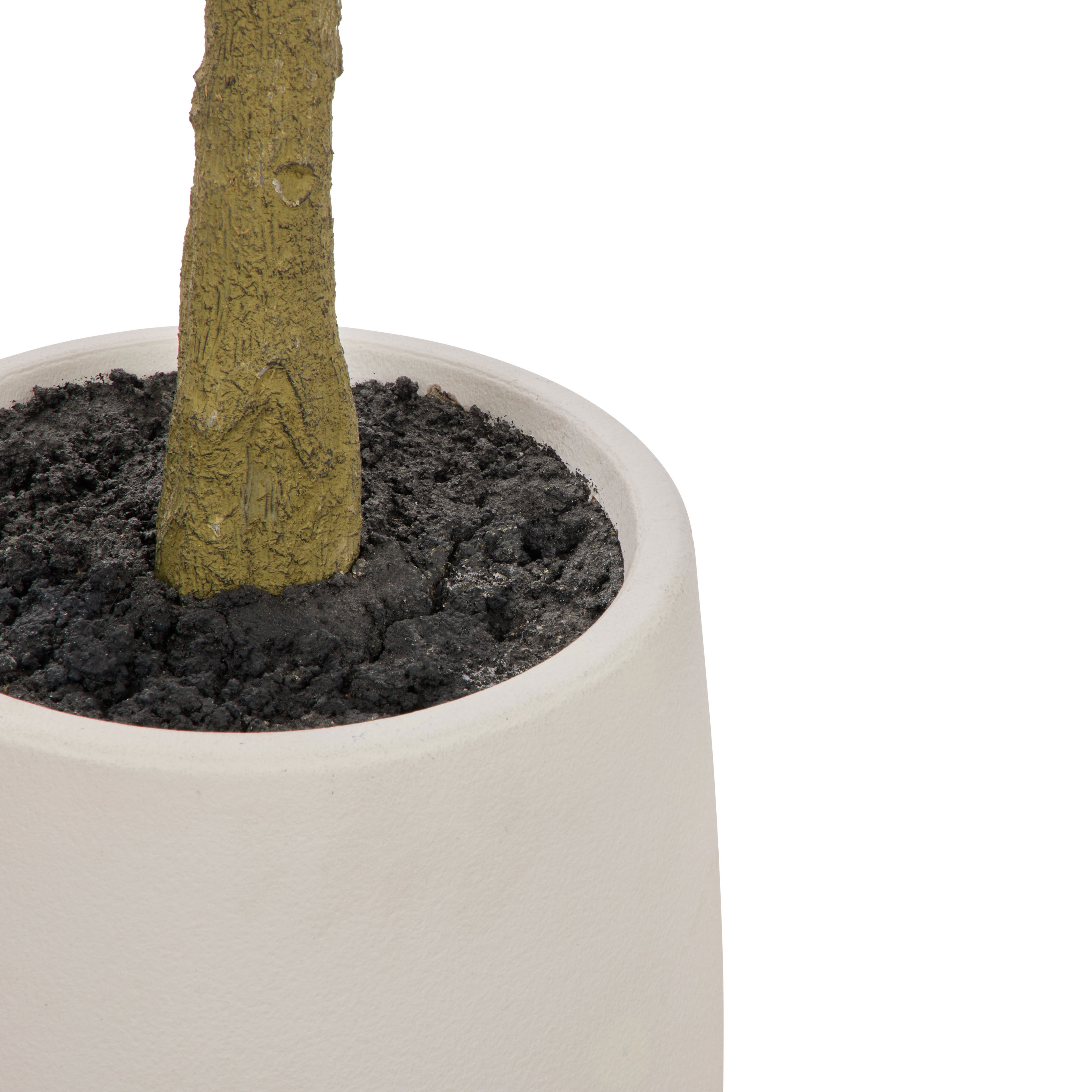 Faux Ficus Tree - White Pot | Green - 150cm