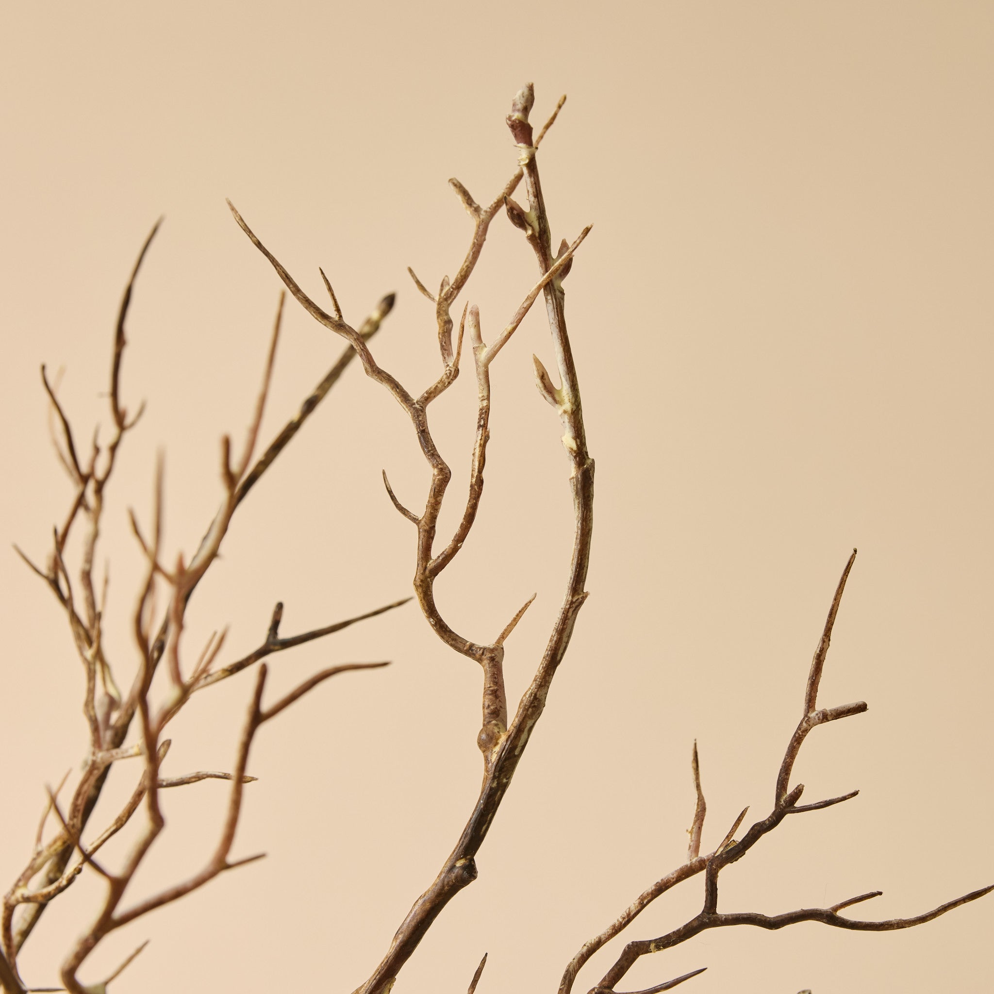 Faux Allium Spray Arrangement - Maliah Pot Black | Green - 65cm