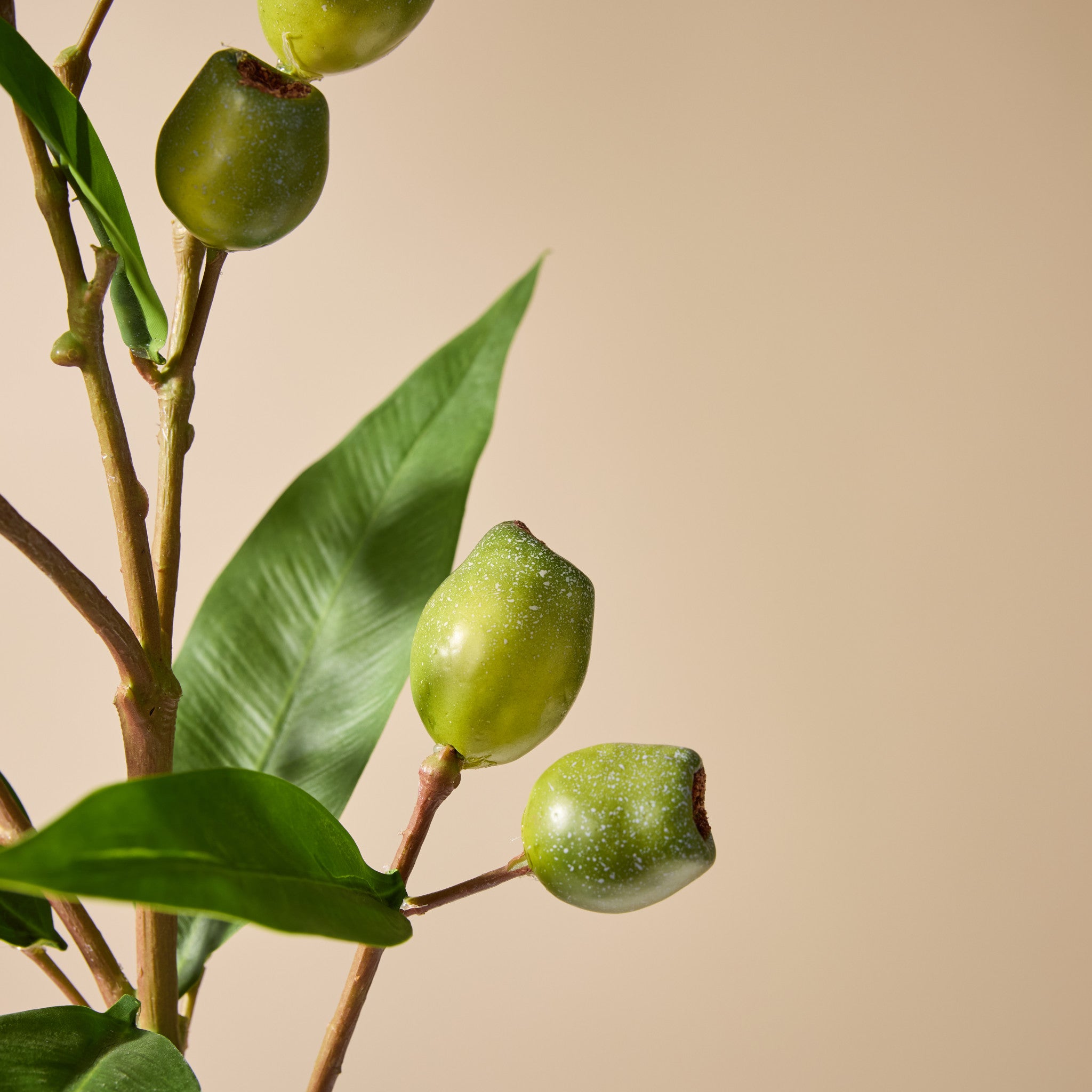 Faux Gum Nut Spray | 66cm