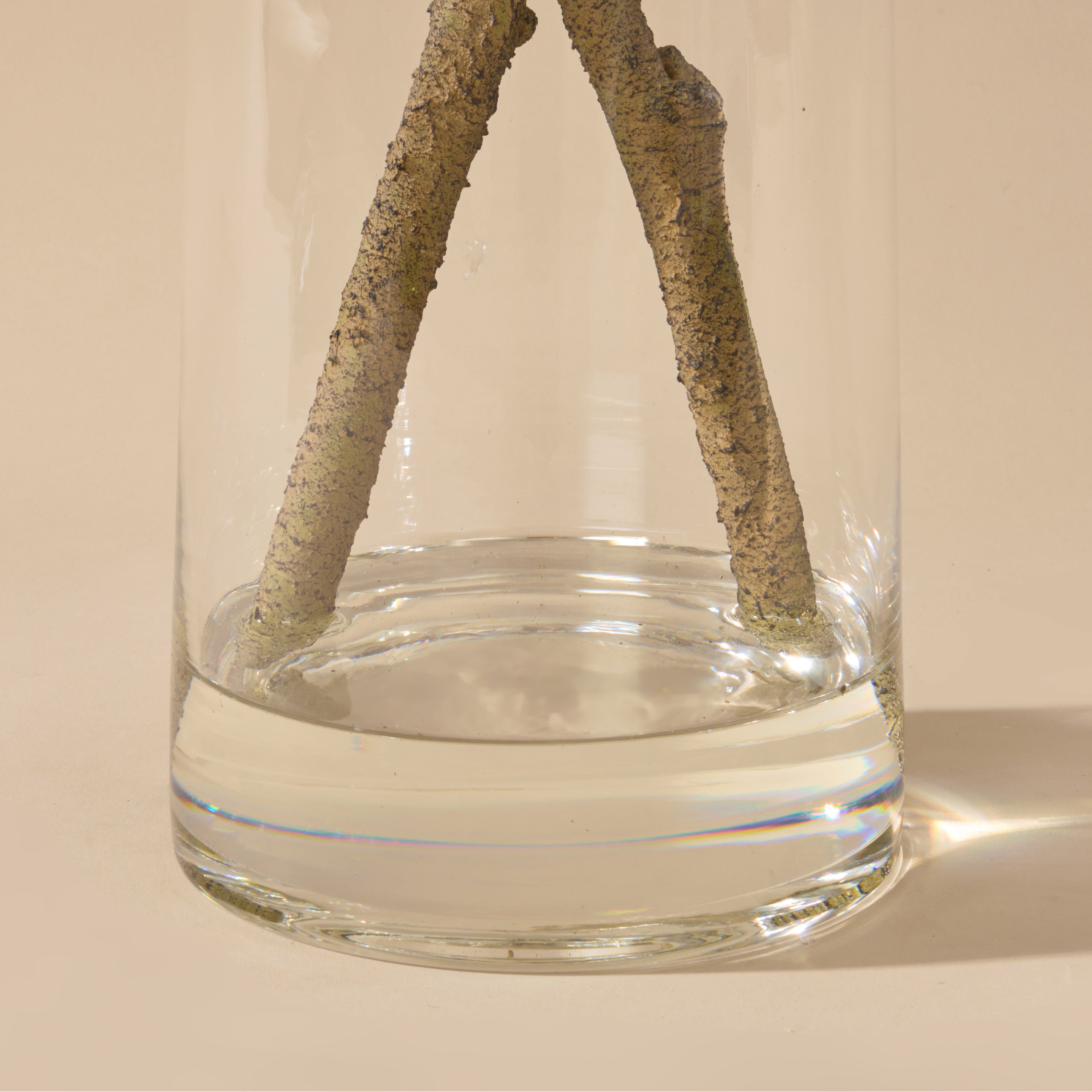 Faux Fig Spray - Rachel Vase | Purple - 104cm