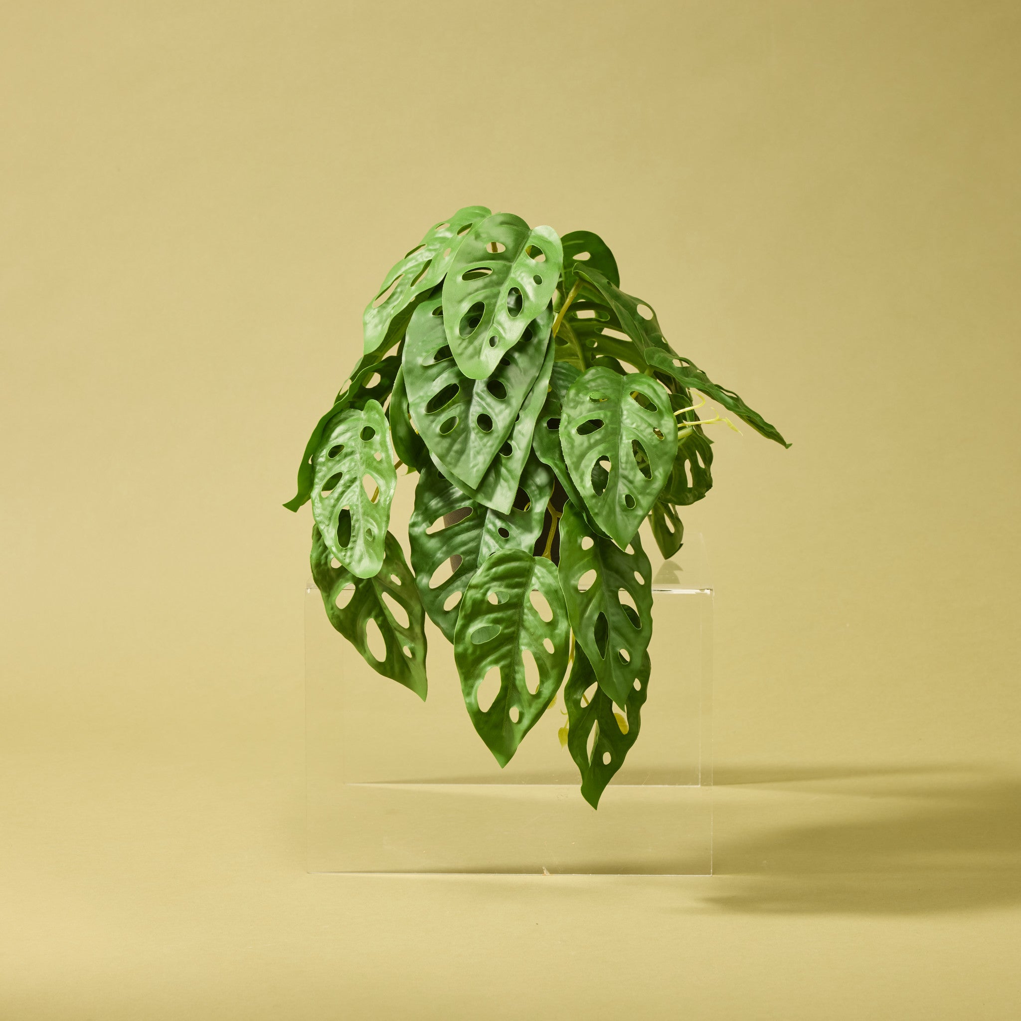faux philodendron monstera Artificial Monstera Adansonii - Garden Pot | 26cm