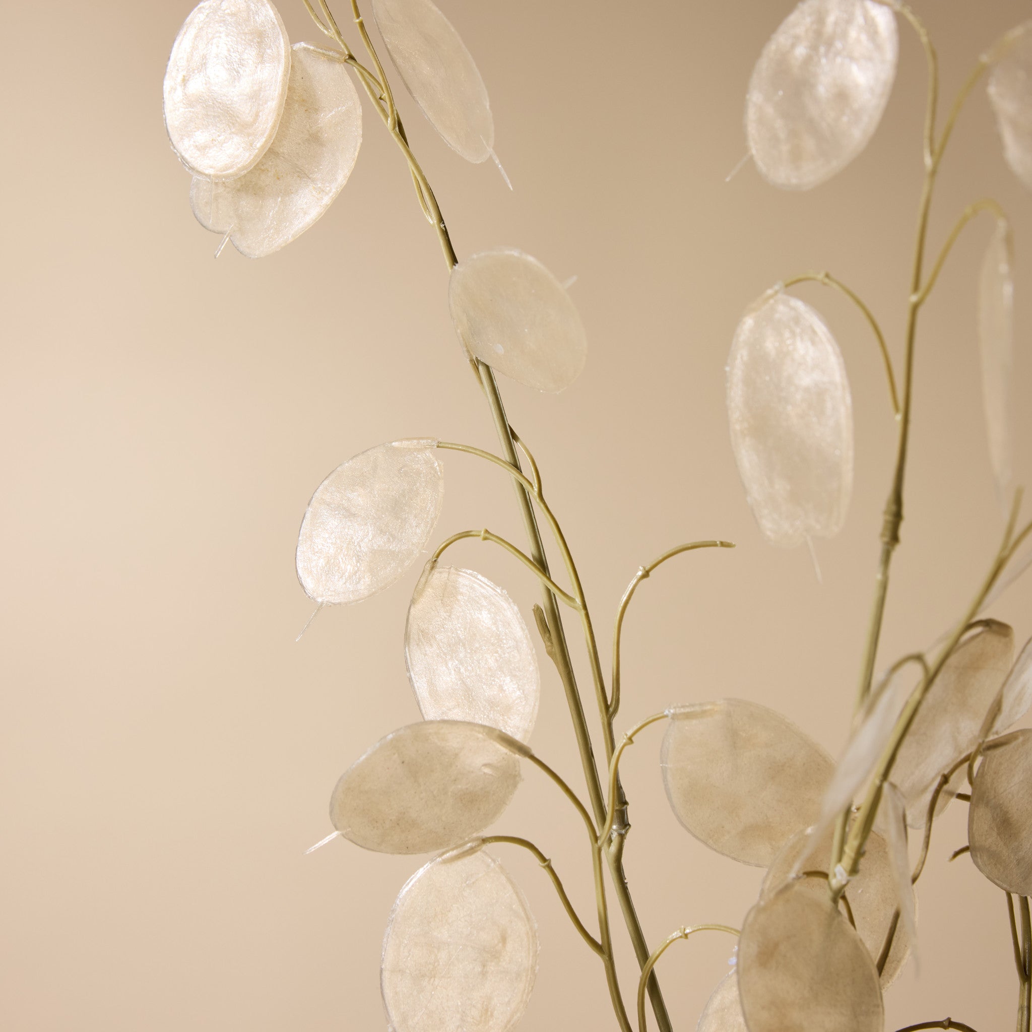 Faux Silver Dollar Eucalyptus Spray | Cream - 76cm