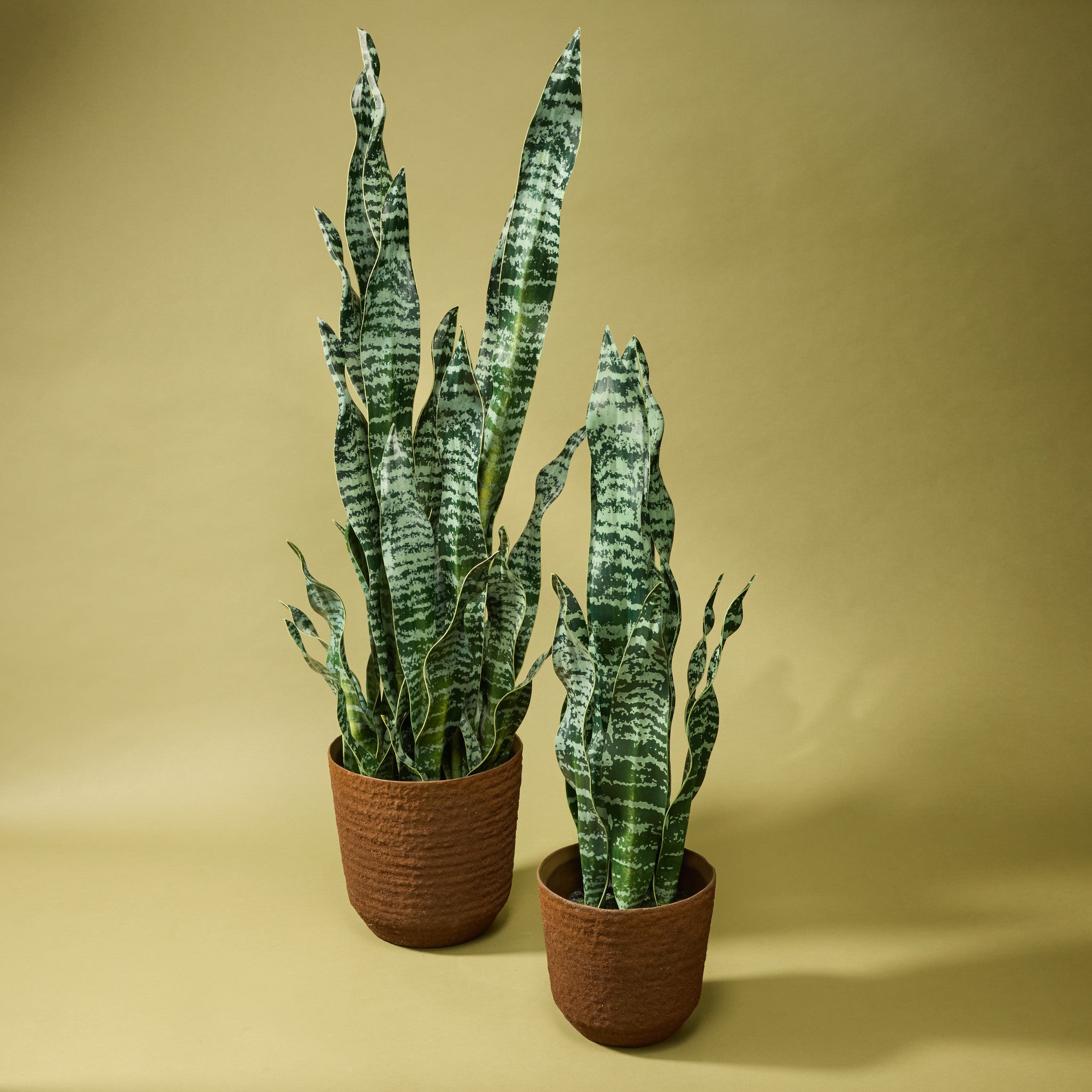 Faux Sansevieria Plant - Garden Pot | 91cm