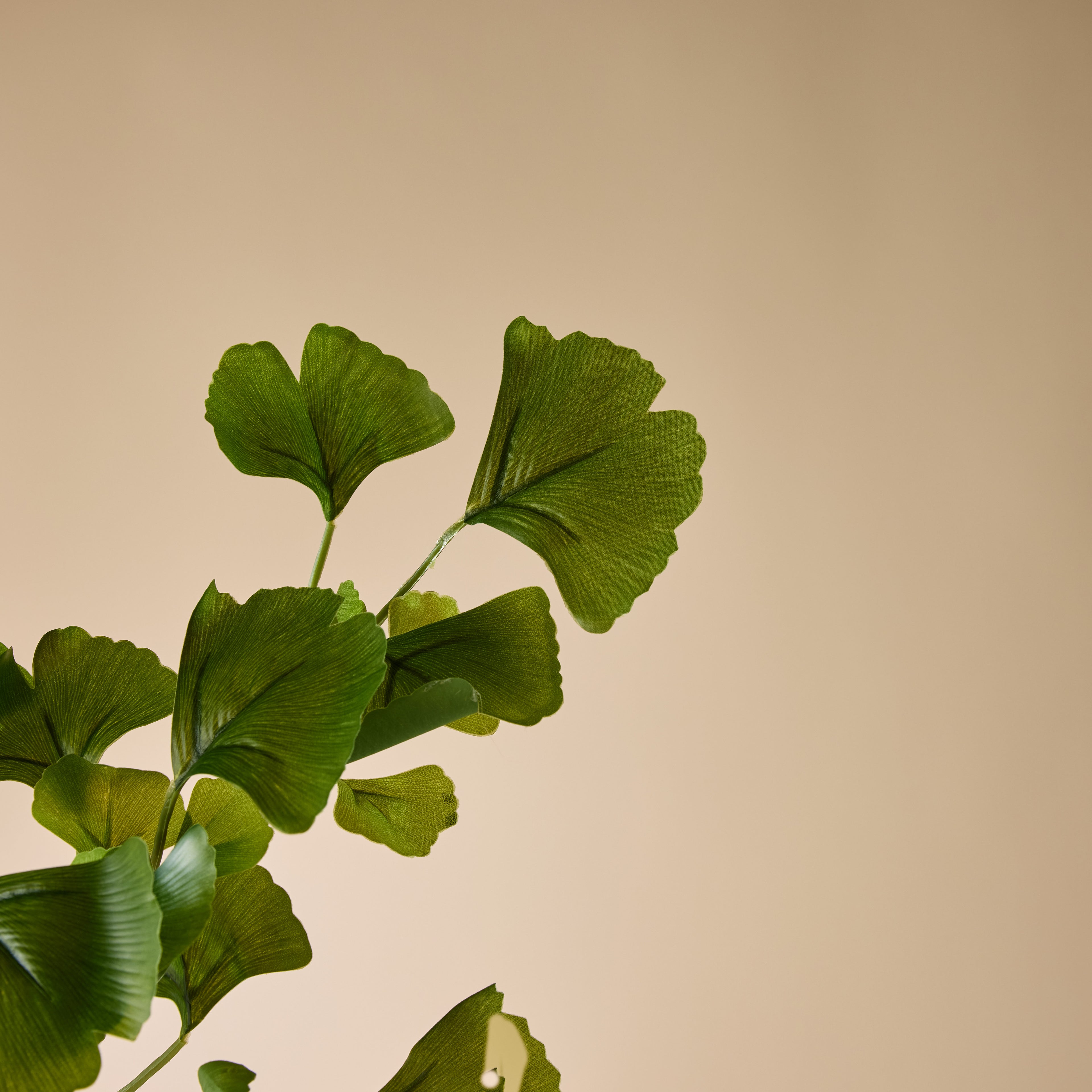 Faux Gingko Leaf Spray | Green - 97cm