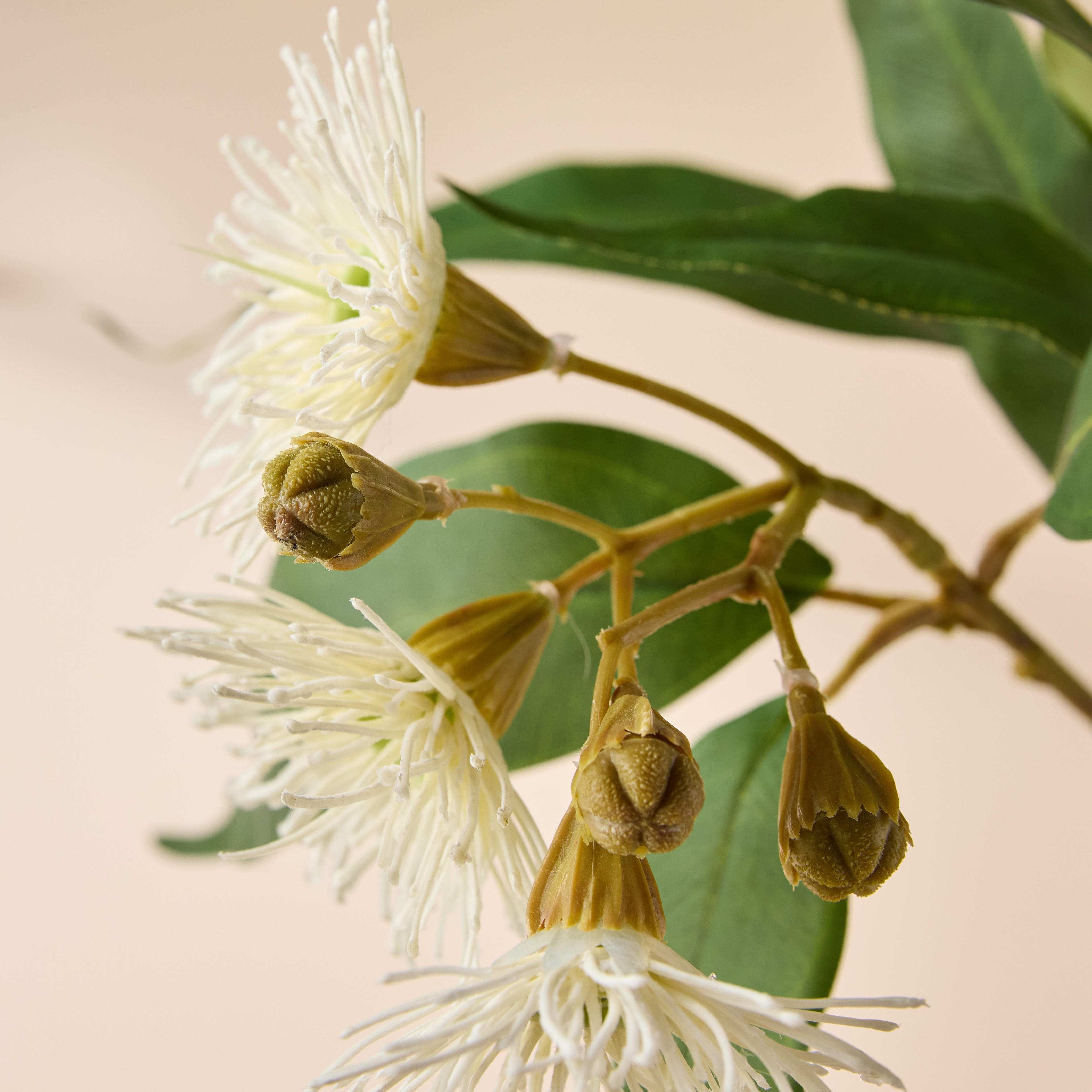 Faux Eucalyptus Flower Spray | White - 62cm