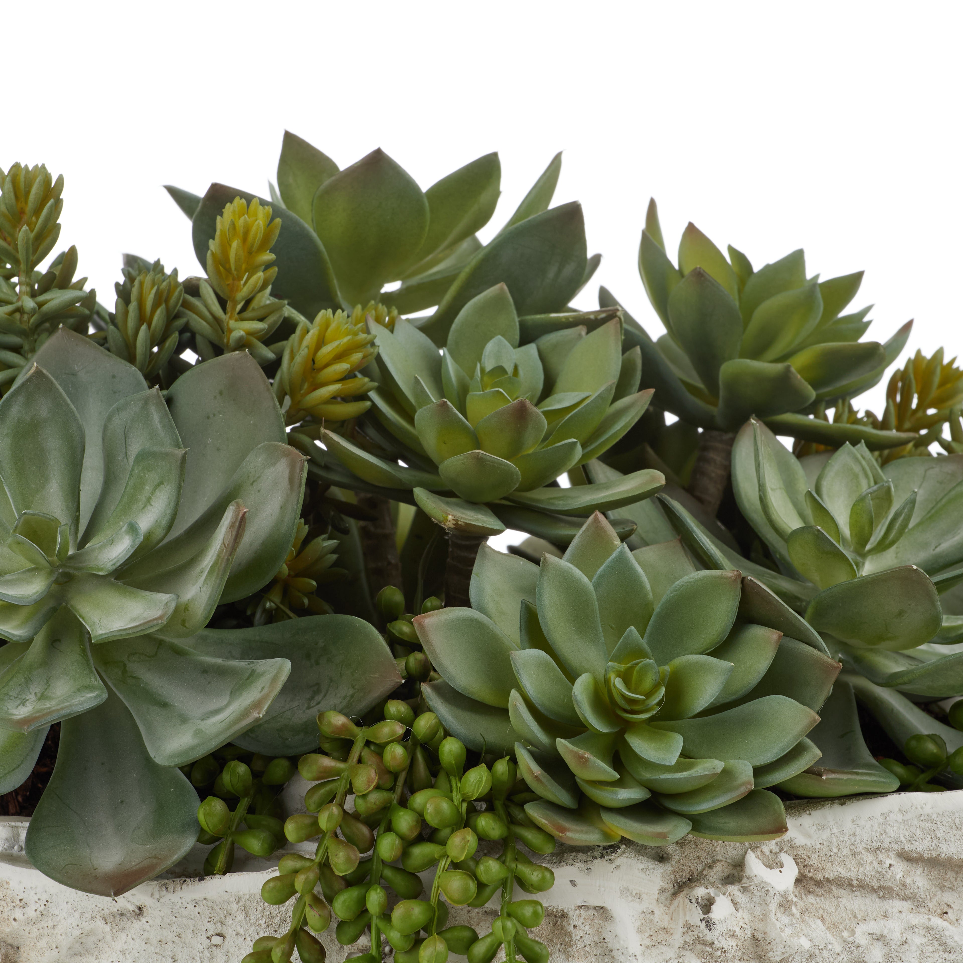 Faux Succulent Mix - Seychelles Clam Vessel | 52cm