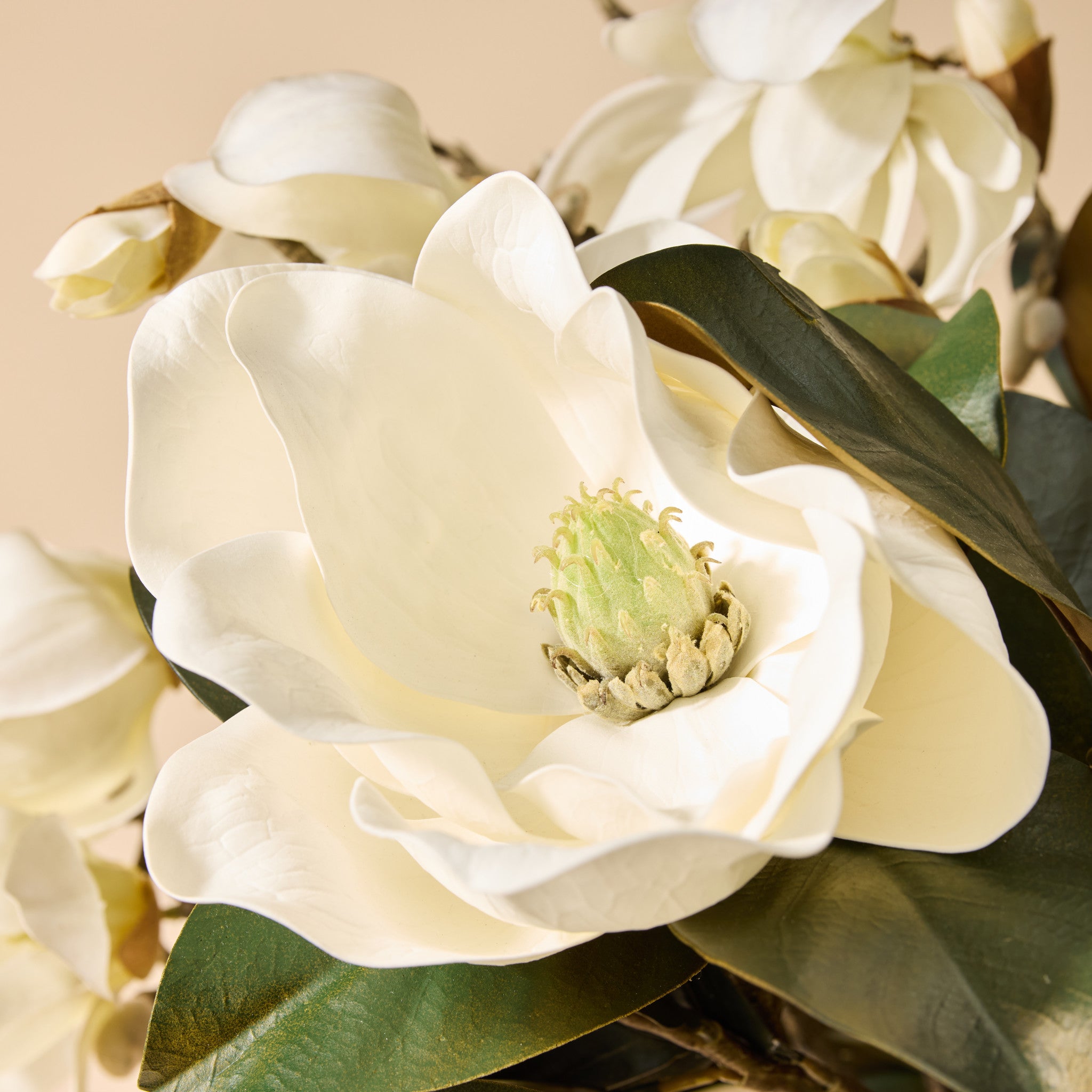 Faux Magnolia Grandiflora Arrangement - Claire Vase