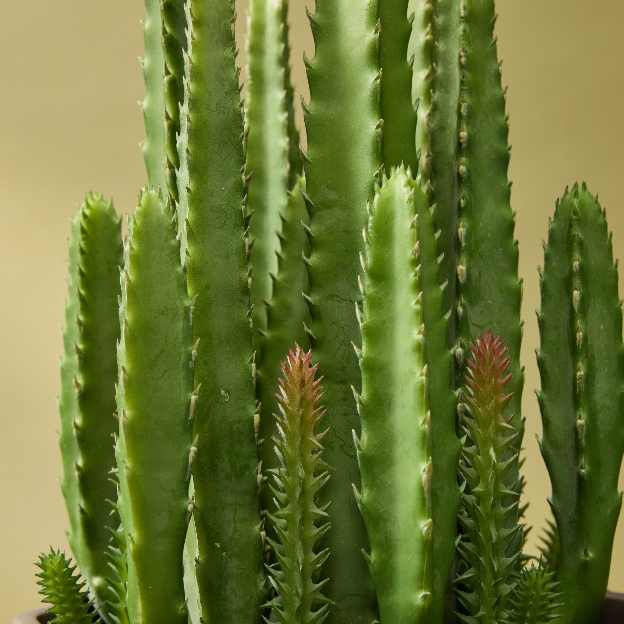 Faux Fairy Castle Cactus | 35cm