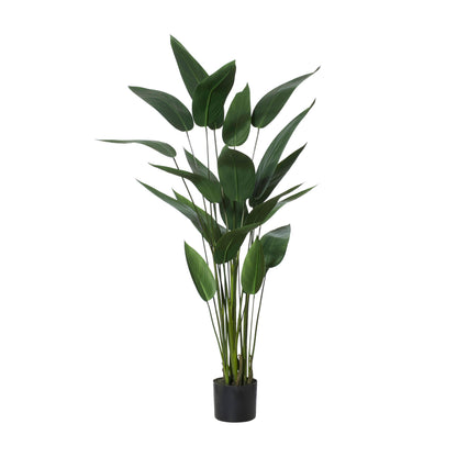 Rogue Sky Bird Plant Green