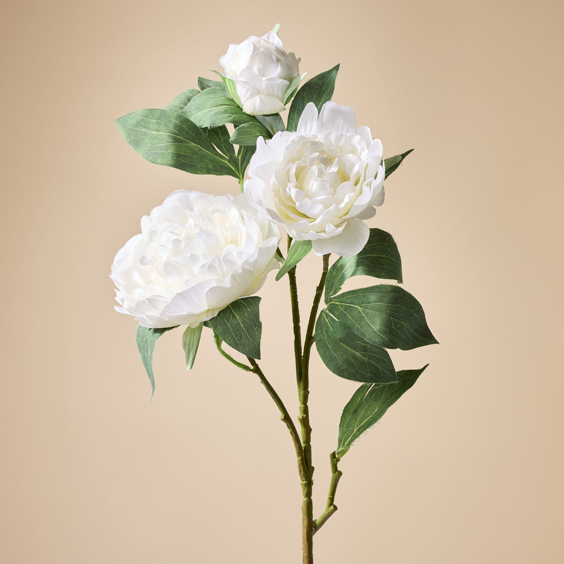 Faux Peony Stem UV Treated | White - 90cm