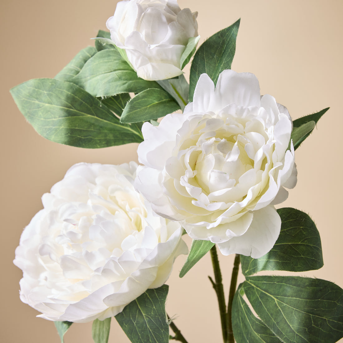 Faux Peony Stem UV Treated | White - 90cm