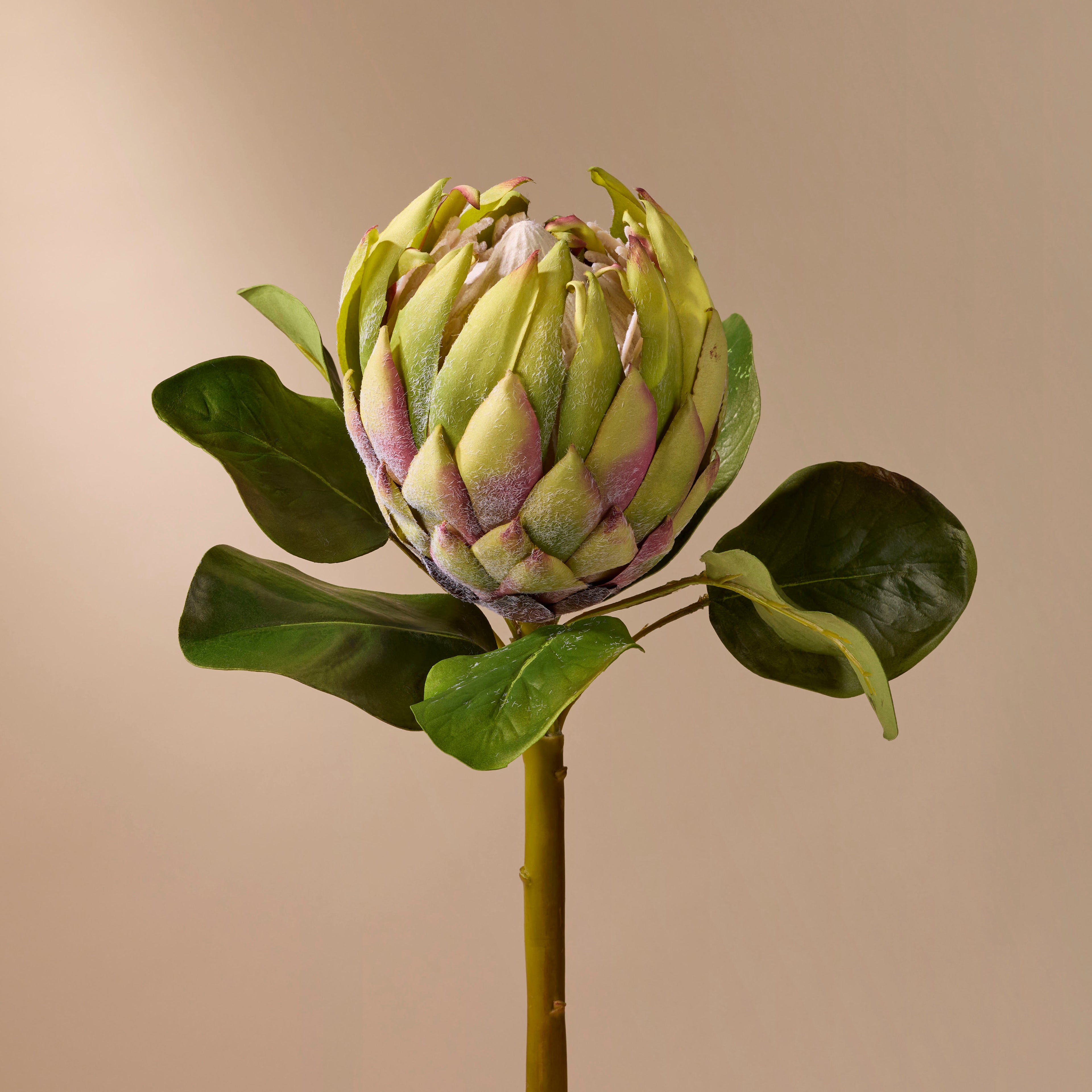 Faux Grand Protea Stem | Green - 81cm