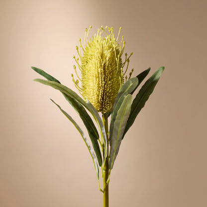 Faux Coastal Banksia Stem | Green - 63cm