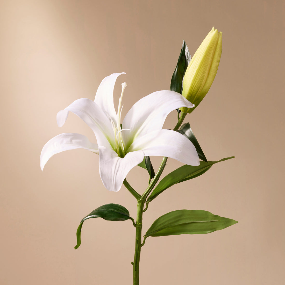 Faux Casablanca Lily | White - 69cm