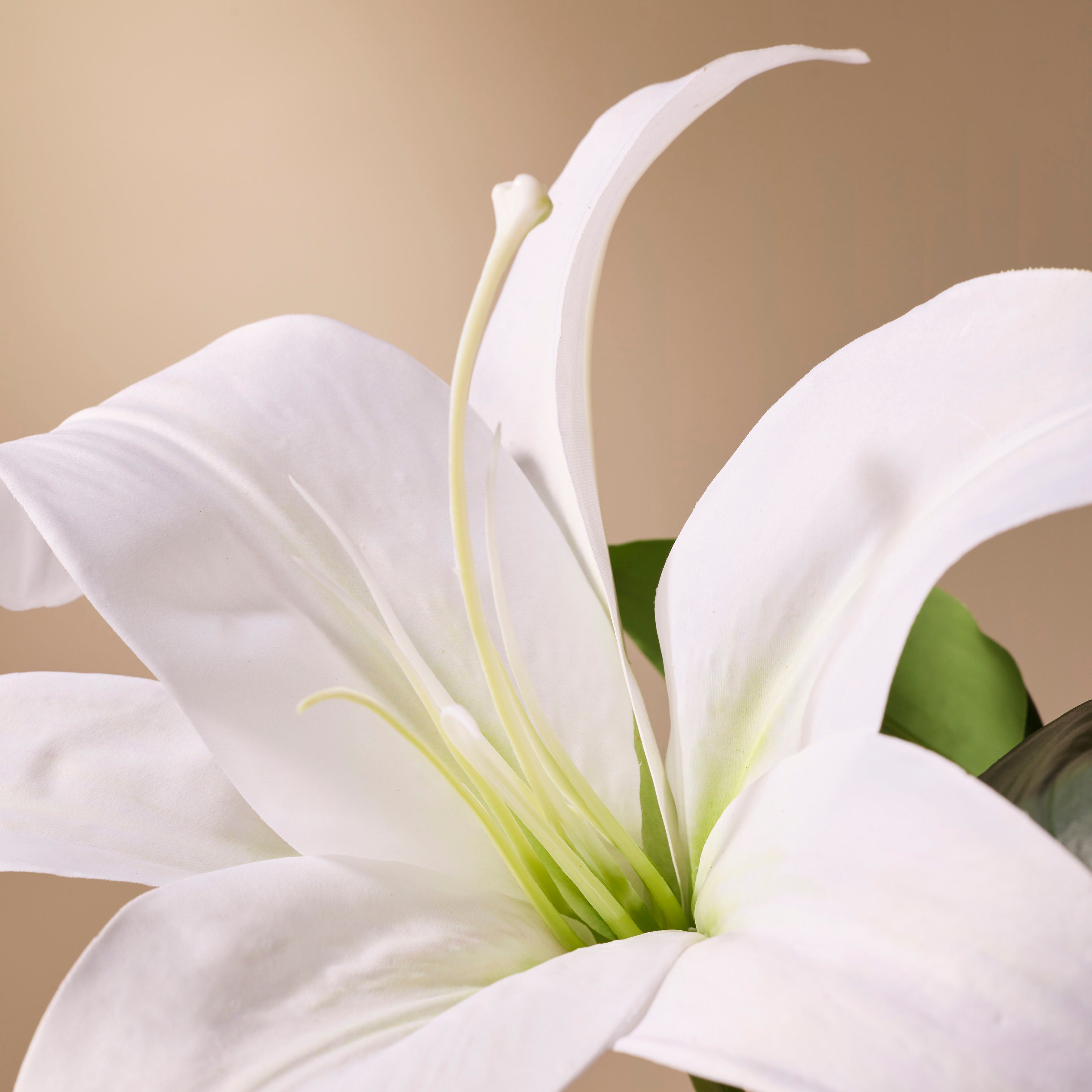 Faux Casablanca Lily | White - 69cm