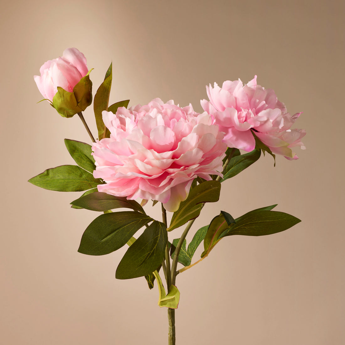 Faux Peony Stem | Pink - 76cm