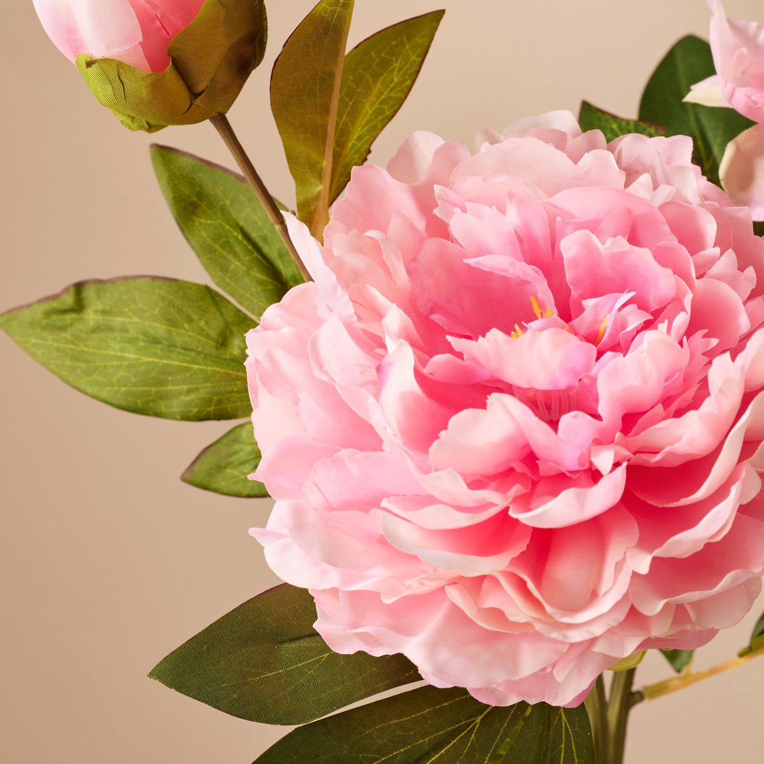 Faux Peony Stem | Pink - 76cm