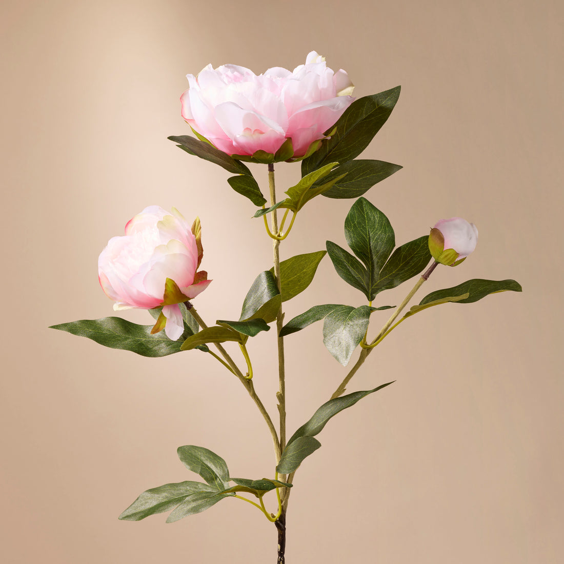 Faux Peony Stem | Pink - 71cm