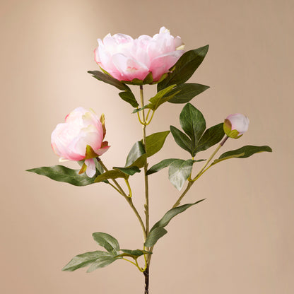 Faux Peony Stem | Pink - 71cm