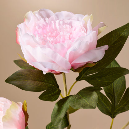 Faux Peony Stem | Pink - 71cm