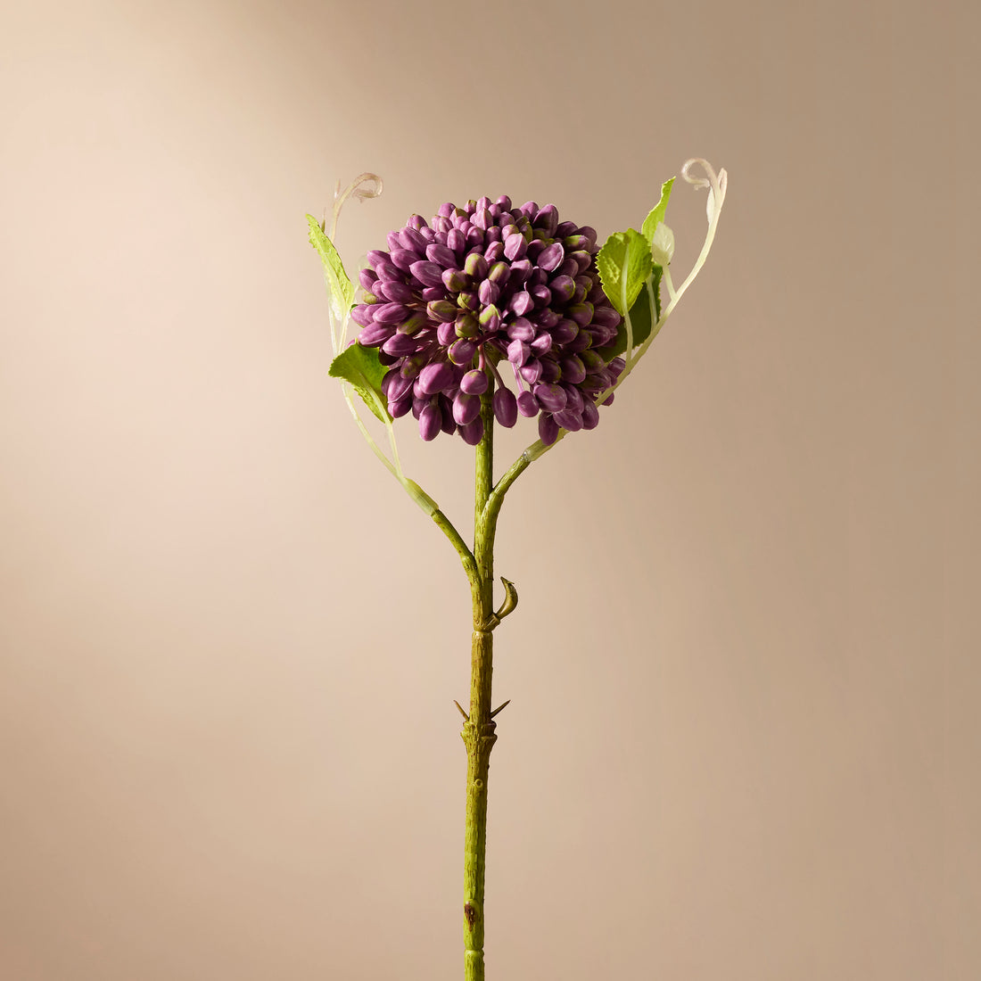 Faux Sedum Stem | Purple - 60cm