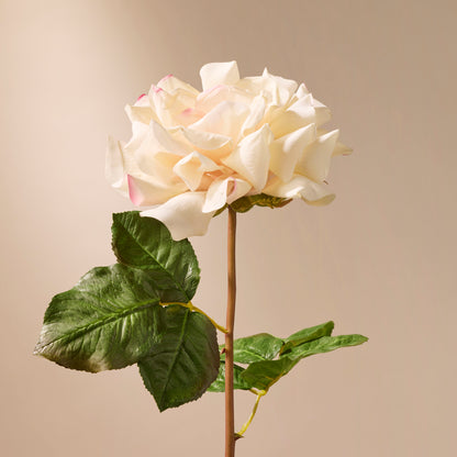 Faux Dutchess Rose Stem | Cream - 51cm