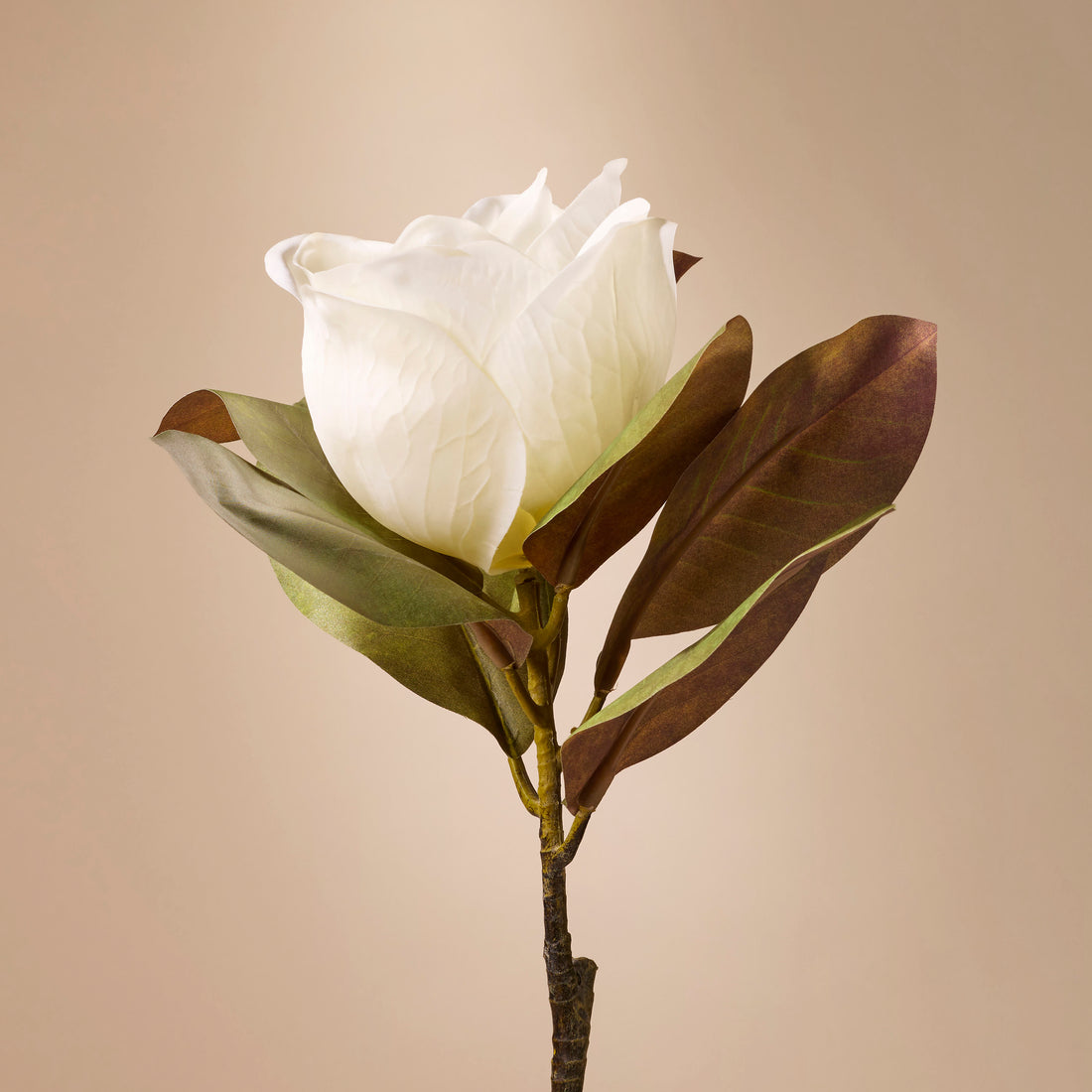 Faux Magnolia Grandiflora | White - 71cm