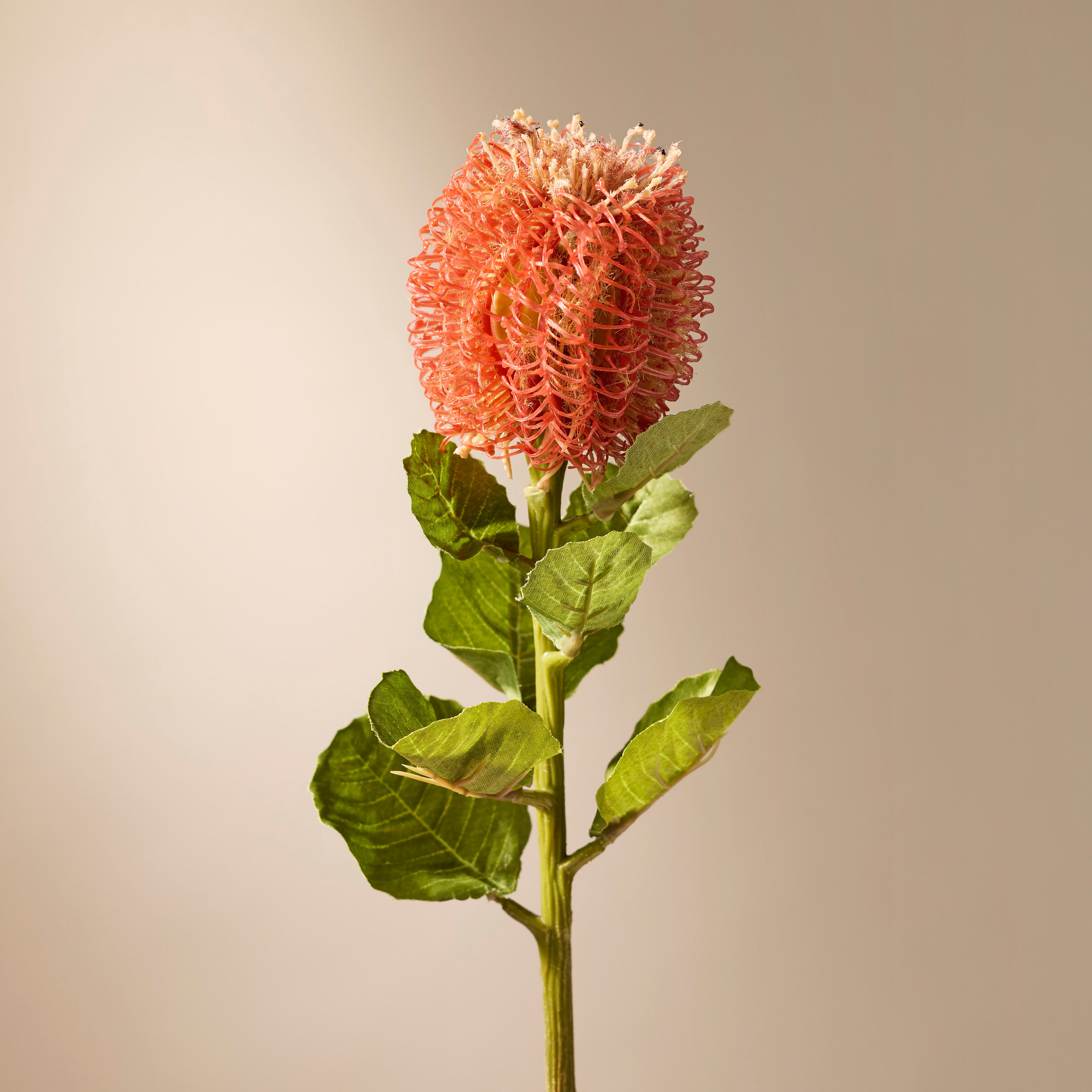 Faux Grand Banksia Stem | Orange - 60cm