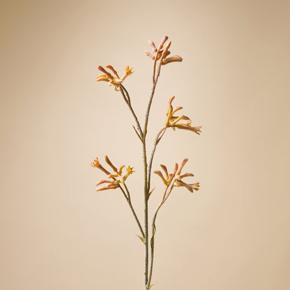 Faux Kangaroo Paw Spray | Yellow - 84cm