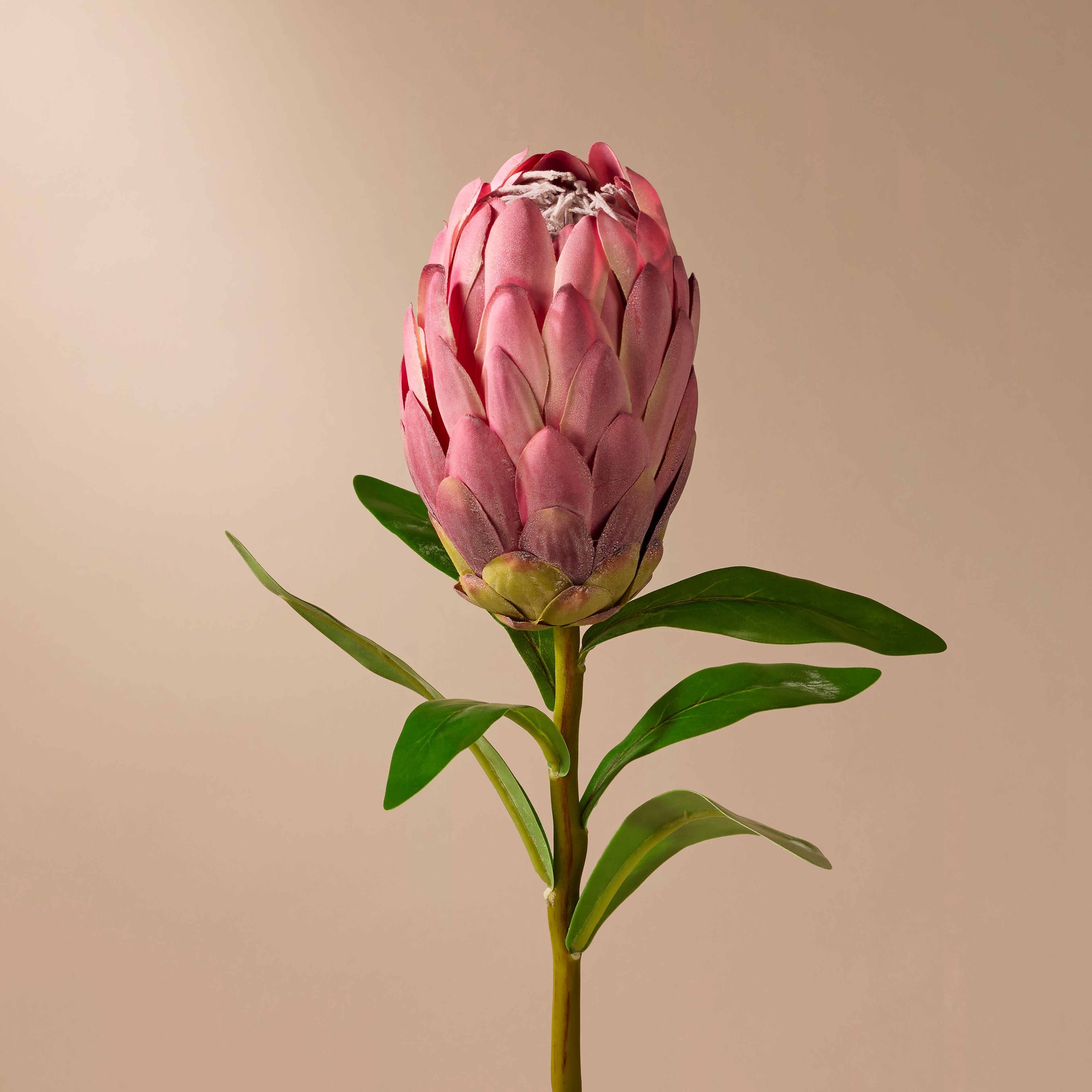 Faux Protea Stem | Burgundy - 60cm